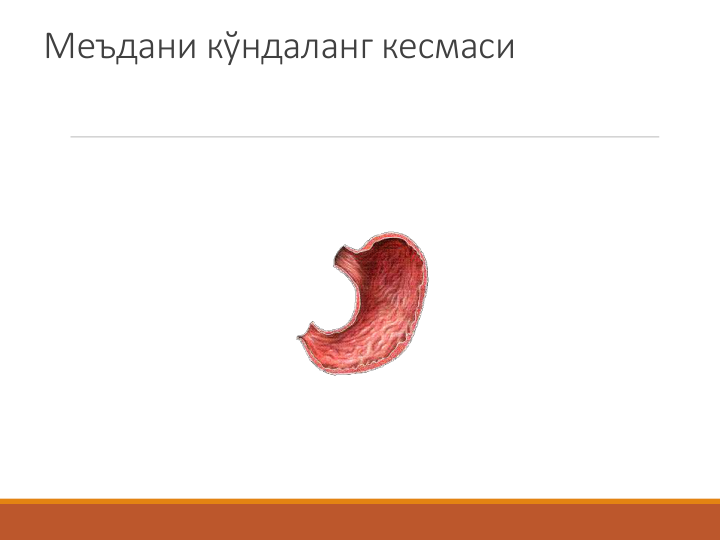 Меъдани кўндаланг кесмаси
