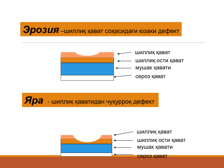 Эрозия –шиллиқ қават соҳасидаги юзаки дефект
Яра - шиллиқ қаватидан чуқурроқ дефект 
шиллиқ қават
шиллиқ ости қават
мушак қавати
сероз қават
шиллиқ қават
шиллиқ ости қават
мушак қавати
сероз қават

