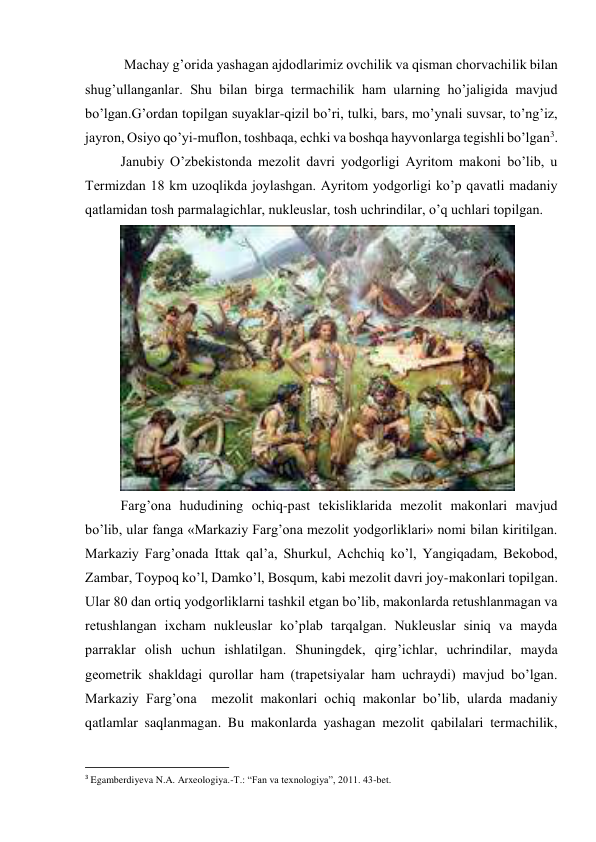  Machay g’orida yashagan ajdodlarimiz ovchilik va qisman chorvachilik bilan 
shug’ullanganlar. Shu bilan birga termachilik ham ularning ho’jaligida mavjud 
bo’lgan.G’ordan topilgan suyaklar-qizil bo’ri, tulki, bars, mo’ynali suvsar, to’ng’iz, 
jayron, Osiyo qo’yi-muflon, toshbaqa, echki va boshqa hayvonlarga tegishli bo’lgan3.  
Janubiy O’zbekistonda mezolit davri yodgorligi Ayritom makoni bo’lib, u  
Termizdan 18 km uzoqlikda joylashgan. Ayritom yodgorligi ko’p qavatli madaniy 
qatlamidan tosh parmalagichlar, nukleuslar, tosh uchrindilar, o’q uchlari topilgan. 
 
Farg’ona hududining ochiq-past tekisliklarida mezolit makonlari mavjud 
bo’lib, ular fanga «Markaziy Farg’ona mezolit yodgorliklari» nomi bilan kiritilgan. 
Markaziy Farg’onada Ittak qal’a, Shurkul, Achchiq ko’l, Yangiqadam, Bekobod, 
Zambar, Toypoq ko’l, Damko’l, Bosqum, kabi mezolit davri joy-makonlari topilgan. 
Ular 80 dan ortiq yodgorliklarni tashkil etgan bo’lib, makonlarda retushlanmagan va 
retushlangan ixcham nukleuslar ko’plab tarqalgan. Nukleuslar siniq va mayda 
parraklar olish uchun ishlatilgan. Shuningdek, qirg’ichlar, uchrindilar, mayda 
geometrik shakldagi qurollar ham (trapetsiyalar ham uchraydi) mavjud bo’lgan. 
Markaziy Farg’ona  mezolit makonlari ochiq makonlar bo’lib, ularda madaniy 
qatlamlar saqlanmagan. Bu makonlarda yashagan mezolit qabilalari termachilik, 
                                                           
3 Egamberdiyeva N.A. Arxeologiya.-T.: “Fan va texnologiya”, 2011. 43-bet. 
