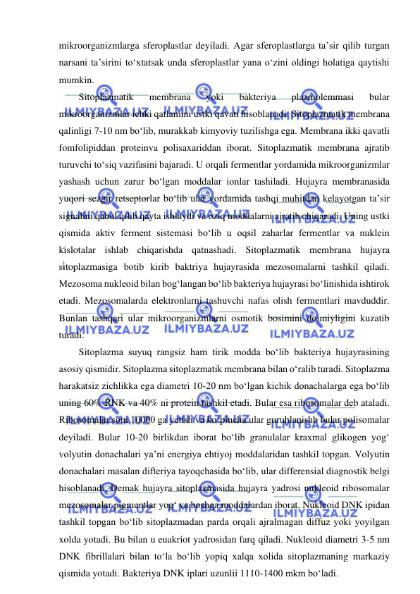  
 
mikroorganizmlarga sferoplastlar deyiladi. Agar sferoplastlarga ta’sir qilib turgan 
narsani ta’sirini to‘xtatsak unda sferoplastlar yana o‘zini oldingi holatiga qaytishi 
mumkin.  
Sitoplazmatik 
membrana 
yoki 
bakteriya 
plazmolemmasi 
bular 
mikroorganizmlar ichki qatlamini ustki qavati hisoblanadi. Sitoplazmatik membrana 
qalinligi 7-10 nm bo‘lib, murakkab kimyoviy tuzilishga ega. Membrana ikki qavatli 
fomfolipiddan proteinva polisaxariddan iborat. Sitoplazmatik membrana ajratib 
turuvchi to‘siq vazifasini bajaradi. U orqali fermentlar yordamida mikroorganizmlar 
yashash uchun zarur bo‘lgan moddalar ionlar tashiladi. Hujayra membranasida 
yuqori sezgir retseptorlar bo‘lib ular yordamida tashqi muhitdan kelayotgan ta’sir 
signalini qabul qilib qayta ishlaydi va oziq moddalarni ajratib chiqaradi. Uning ustki 
qismida aktiv ferment sistemasi bo‘lib u oqsil zaharlar fermentlar va nuklein 
kislotalar ishlab chiqarishda qatnashadi. Sitoplazmatik membrana hujayra 
sitoplazmasiga botib kirib baktriya hujayrasida mezosomalarni tashkil qiladi. 
Mezosoma nukleoid bilan bog‘langan bo‘lib bakteriya hujayrasi bo‘linishida ishtirok 
etadi. Mezosomalarda elektronlarni tashuvchi nafas olish fermentlari mavduddir. 
Bunlan tashqari ular mikroorganizmlarni osmotik bosimini doimiyligini kuzatib 
turadi.  
Sitoplazma suyuq rangsiz ham tirik modda bo‘lib bakteriya hujayrasining 
asosiy qismidir. Sitoplazma sitoplazmatik membrana bilan o‘ralib turadi. Sitoplazma 
harakatsiz zichlikka ega diametri 10-20 nm bo‘lgan kichik donachalarga ega bo‘lib 
uning 60% RNK va 40% ni protein tashkil etadi. Bular esa ribosomalar deb ataladi. 
Ribosomalar soni 10000 ga yetish va ko‘pincha ular guruhlanishb bular polisomalar 
deyiladi. Bular 10-20 birlikdan iborat bo‘lib granulalar kraxmal glikogen yog‘ 
volyutin donachalari ya’ni energiya ehtiyoj moddalaridan tashkil topgan. Volyutin 
donachalari masalan difteriya tayoqchasida bo‘lib, ular differensial diagnostik belgi 
hisoblanadi. Demak hujayra sitoplazmasida hujayra yadrosi nukleoid ribosomalar 
mezosomalar pigmentlar yog‘ va boshqa moddalardan iborat. Nukleoid DNK ipidan 
tashkil topgan bo‘lib sitoplazmadan parda orqali ajralmagan diffuz yoki yoyilgan 
xolda yotadi. Bu bilan u euakriot yadrosidan farq qiladi. Nukleoid diametri 3-5 nm 
DNK fibrillalari bilan to‘la bo‘lib yopiq xalqa xolida sitoplazmaning markaziy 
qismida yotadi. Bakteriya DNK iplari uzunlii 1110-1400 mkm bo‘ladi.  
