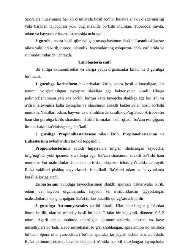 Sporalari hujayraning har xil qismlarida hosil bo’lib, hujayra shakli o’zgarmasligi
yoki baraban tayoqchasi yoki dug shaklida bo’lishi mumkin. Tuproqda, suvda,
odam va hayvonlar hazm sistemasida uchraydi.
3 guruh - spora hosil qilmaydigan tayoqchasimon shaklli Lastobasillaseae
oilasi vakillari kirib, tuproq, o’simlik, hayvonlarning oshqozon-ichak yo’llarida va
sut mahsulotlarida uchraydi.
Tallobasteria sinfi
Bu sinfga aktinomitsetlar va ularga yaqin organizmlar kiradi va 3 guruhga
bo’linadi.
1 guruhga  korineform bakteriyalari kirib, spora hosil qilmaydigan, bir
tomoni  yo’g’onlashgan  tayoqcha  shakliga  ega  bakteriyalar  kiradi.  Ularga
polimorfizm xususiyati xos bo’lib, ba’zan katta tayoqcha shakliga ega bo’lishi va
o’sish jarayonida kalta tayoqcha va  sharsimon shaklli bakteriyalar hosil bo’lishi
mumkin. Vakillari odam, hayvon va o’simliklarda kasallik qo’zg’atadi. Artrobakter
ham shu guruhga kirib, sharsimon shaklli formalar hosil  qiladi, ba’zan esa gigant,
limon shaklli ko’rinishga ega bo’ladi.
2  guruhga  Propionibasteriaseae oilasi  kirib,  Propionobasterium va
Eubasterium avlodlaridan tashkil topgandir.
Propionobasterium avlodi hujayralari to’g’ri,  shohlangan tayoqcha,
to’g’nag’ich yoki ipsimon shakllarga ega. Ba’zan sharsimon shaklli bo’lishi ham
mumkin. Sut mahsulotlarida, odam terisida, oshqozon-ichak yo’llarida uchraydi.
Ba’zi vakillari pishloq tayyorlashda ishlatiladi. Ba’zilari odam va hayvonlarda
kasallik ko’zg’atadi. 
Eubasterium avlodiga tayoqchasimon shaklli sporasiz bakteriyalar kirib,
odam va hayvon organizmida,  hayvon va o’simliklardan tayyorlangan
mahsulotlarda keng tarqalgan. Ba’zi turlari kasallik qo’zg’atuvchilardir. 
3 guruhga  Astinomyssetales tartibi  kiradi.  Ular  shoxlangan  gifalardan
iborat bo’lib, ulardan mitseliy hosil bo’ladi. Gifalar bir hujayrali, diametri 0.5-2
mkm.  Agarli  oziqa  muhitda  o’stirilgan  aktinomitsetlarda  substrat  va  havo
mitselliylari bo’ladi. Havo mitsellalari to’g’ri shohlangan, spiralsimon ko’rinishda
bo’ladi. Spora olib yuruvchilari bo’lib, sporalar ko’payish uchun xizmat qiladi.
Ba’zi aktinomitsetlarda havo mitsellalari o’rnida har xil shoxlangan tayoqchalar
