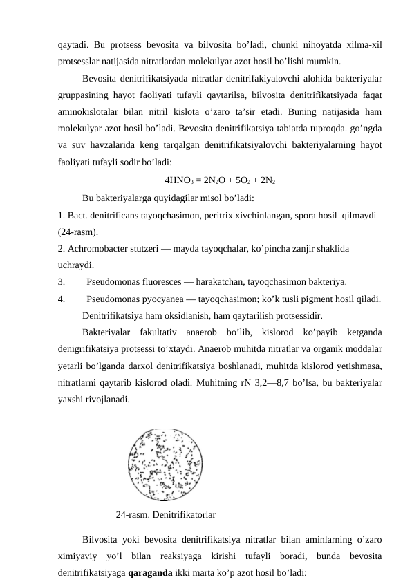 qaytadi. Bu protsess bevosita va bilvosita bo’ladi, chunki nihoyatda xilma-xil
protsesslar natijasida nitratlardan molekulyar azot hosil bo’lishi mumkin.
Bevosita denitrifikatsiyada nitratlar denitrifakiyalovchi alohida bakteriyalar
gruppasining hayot faoliyati tufayli qaytarilsa, bilvosita denitrifikatsiyada faqat
aminokislotalar  bilan  nitril  kislota  o’zaro  ta’sir  etadi.  Buning  natijasida  ham
molekulyar azot hosil bo’ladi. Bevosita denitrifikatsiya tabiatda tuproqda. go’ngda
va suv havzalarida keng tarqalgan denitrifikatsiyalovchi bakteriyalarning hayot
faoliyati tufayli sodir bo’ladi:
4HNO3 = 2N2O + 5O2 + 2N2
Bu bakteriyalarga quyidagilar misol bo’ladi:
1. Bact. denitrificans tayoqchasimon, peritrix xivchinlangan, spora hosil  qilmaydi 
(24-rasm).
2. Achromobacter stutzeri — mayda tayoqchalar, ko’pincha zanjir shaklida 
uchraydi.
3.
 Pseudomonas fluoresces — harakatchan, tayoqchasimon bakteriya.
4.
 Pseudomonas pyocyanea — tayoqchasimon; ko’k tusli pigment hosil qiladi.
 
Denitrifikatsiya ham oksidlanish, ham qaytarilish protsessidir.
Bakteriyalar  fakultativ  anaerob  bo’lib,  kislorod  ko’payib  ketganda
denigrifikatsiya protsessi to’xtaydi. Anaerob muhitda nitratlar va organik moddalar
yetarli bo’lganda darxol denitrifikatsiya boshlanadi, muhitda kislorod yetishmasa,
nitratlarni qaytarib kislorod oladi. Muhitning rN 3,2—8,7 bo’lsa, bu bakteriyalar
yaxshi rivojlanadi.
                             
                        24-rasm. Denitrifikatorlar
Bilvosita yoki bevosita denitrifikatsiya nitratlar bilan aminlarning o’zaro
ximiyaviy  yo’l  bilan  reaksiyaga  kirishi  tufayli  boradi,  bunda  bevosita
denitrifikatsiyaga qaraganda ikki marta ko’p azot hosil bo’ladi:
