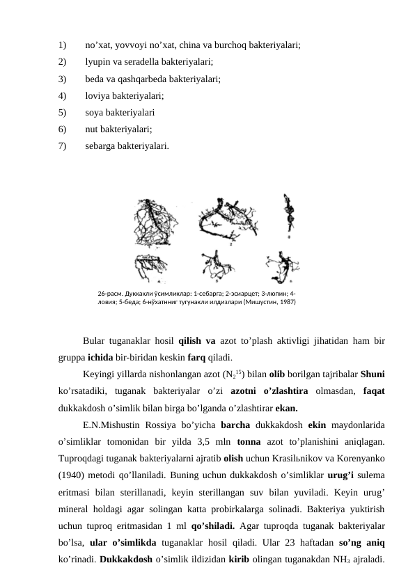 1)
 no’xat, yovvoyi no’xat, china va burchoq bakteriyalari;
2)
 lyupin va seradella bakteriyalari;
3)
 beda va qashqarbeda bakteriyalari;
4)
 loviya bakteriyalari;
5)
 soya bakteriyalari
6)
 nut bakteriyalari;
7)
 sebarga bakteriyalari.
Bular tuganaklar  hosil  qilish va  azot to’plash aktivligi jihatidan  ham bir
gruppa ichida bir-biridan keskin farq qiladi.
Keyingi yillarda nishonlangan azot (N2
15) bilan olib borilgan tajribalar Shuni
ko’rsatadiki,  tuganak  bakteriyalar  o’zi  azotni  o’zlashtira  olmasdan,  faqat
dukkakdosh o’simlik bilan birga bo’lganda o’zlashtirar ekan.
E.N.Mishustin  Rossiya  bo’yicha  barcha  dukkakdosh  ekin  maydonlarida
o’simliklar  tomonidan  bir  yilda  3,5  mln  tonna  azot  to’planishini  aniqlagan.
Tuproqdagi tuganak bakteriyalarni ajratib olish uchun Krasilьnikov va Korenyanko
(1940) metodi qo’llaniladi. Buning uchun dukkakdosh o’simliklar urug’i sulema
eritmasi  bilan  sterillanadi,  keyin  sterillangan  suv  bilan  yuviladi.  Keyin  urug’
mineral  holdagi agar solingan katta probirkalarga solinadi. Bakteriya yuktirish
uchun tuproq eritmasidan 1 ml  qo’shiladi.  Agar tuproqda tuganak bakteriyalar
bo’lsa,  ular  o’simlikda  tuganaklar  hosil  qiladi. Ular 23  haftadan  so’ng aniq
ko’rinadi. Dukkakdosh o’simlik ildizidan kirib olingan tuganakdan NH3 ajraladi.
26-расм. Дуккакли ўсимликлар: 1-себарга; 2-эсиарцет; 3-люпин; 4-
ловия; 5-беда; 6-нўхатнниг тугунакли илдизлари (Мишустин, 1987)
