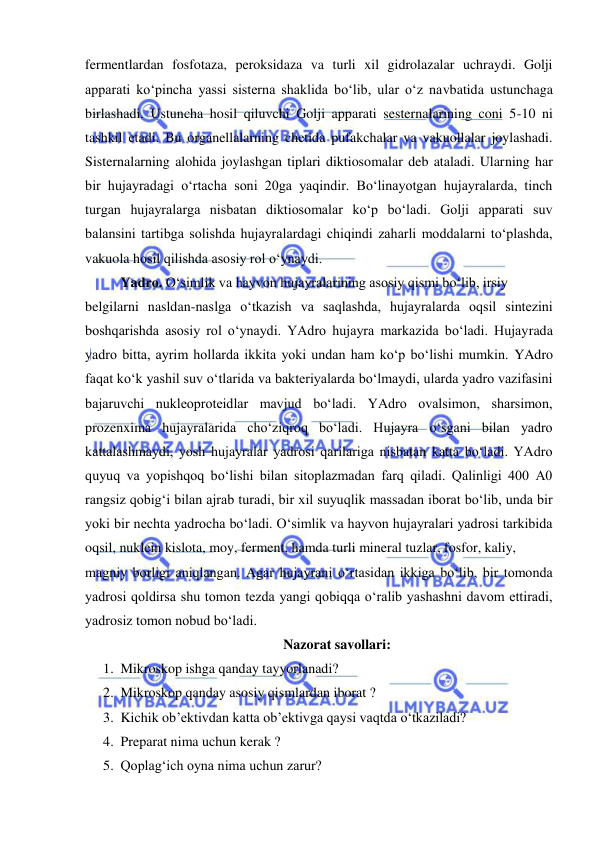  
 
fermentlardan fosfotaza, peroksidaza va turli xil gidrolazalar uchraydi. Golji 
apparati ko‘pincha yassi sisterna shaklida bo‘lib, ular o‘z navbatida ustunchaga 
birlashadi. Ustuncha hosil qiluvchi Golji apparati sesternalarining coni 5-10 ni 
tashkil etadi. Bu organellalarning chetida pufakchalar va vakuollalar joylashadi. 
Sisternalarning alohida joylashgan tiplari diktiosomalar deb ataladi. Ularning har 
bir hujayradagi o‘rtacha soni 20ga yaqindir. Bo‘linayotgan hujayralarda, tinch 
turgan hujayralarga nisbatan diktiosomalar ko‘p bo‘ladi. Golji apparati suv 
balansini tartibga solishda hujayralardagi chiqindi zaharli moddalarni to‘plashda, 
vakuola hosil qilishda asosiy rol o‘ynaydi. 
Yadro. O‘simlik va hayvon hujayralarining asosiy qismi bo‘lib, irsiy  
belgilarni nasldan-naslga o‘tkazish va saqlashda, hujayralarda oqsil sintezini 
boshqarishda asosiy rol o‘ynaydi. YAdro hujayra markazida bo‘ladi. Hujayrada 
yadro bitta, ayrim hollarda ikkita yoki undan ham ko‘p bo‘lishi mumkin. YAdro 
faqat ko‘k yashil suv o‘tlarida va bakteriyalarda bo‘lmaydi, ularda yadro vazifasini 
bajaruvchi nukleoproteidlar mavjud bo‘ladi. YAdro ovalsimon, sharsimon, 
prozenxima hujayralarida cho‘ziqroq bo‘ladi. Hujayra o‘sgani bilan yadro 
kattalashmaydi, yosh hujayralar yadrosi qarilariga nisbatan katta bo‘ladi. YAdro 
quyuq va yopishqoq bo‘lishi bilan sitoplazmadan farq qiladi. Qalinligi 400 A0 
rangsiz qobig‘i bilan ajrab turadi, bir xil suyuqlik massadan iborat bo‘lib, unda bir 
yoki bir nechta yadrocha bo‘ladi. O‘simlik va hayvon hujayralari yadrosi tarkibida 
oqsil, nuklein kislota, moy, ferment, hamda turli mineral tuzlar, fosfor, kaliy,  
magniy borligi aniqlangan. Agar hujayrani o‘rtasidan ikkiga bo‘lib, bir tomonda 
yadrosi qoldirsa shu tomon tezda yangi qobiqqa o‘ralib yashashni davom ettiradi, 
yadrosiz tomon nobud bo‘ladi. 
Nazorat savollari: 
1. Mikroskop ishga qanday tayyorlanadi?  
2. Mikroskop qanday asosiy qismlardan iborat ?  
3. Kichik ob’ektivdan katta ob’ektivga qaysi vaqtda o‘tkaziladi?  
4. Preparat nima uchun kerak ? 
5. Qoplag‘ich oyna nima uchun zarur?  
