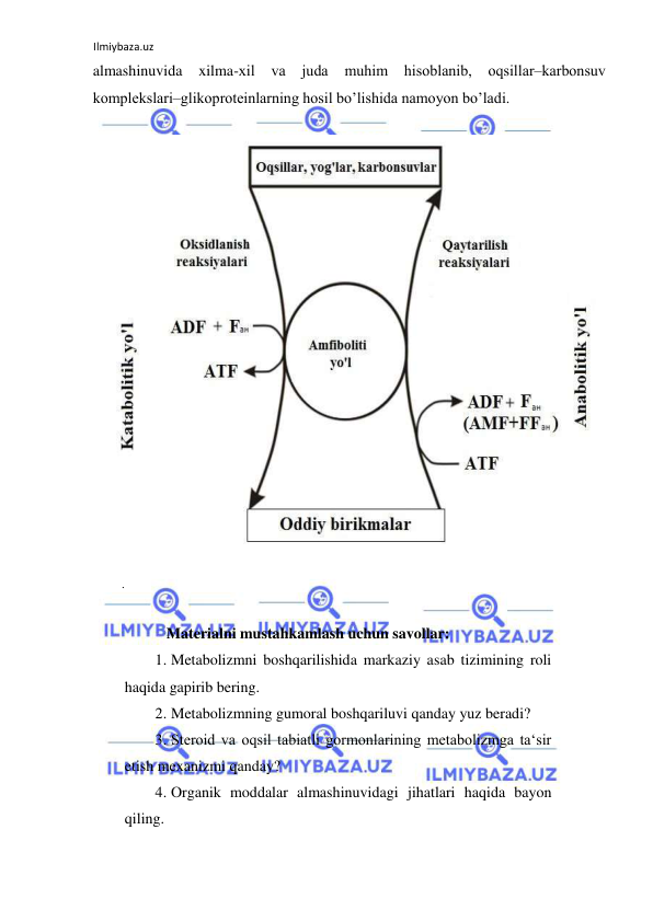 Ilmiybaza.uz 
 
almashinuvida 
xilma-xil va 
juda 
muhim 
hisoblanib, oqsillar‒karbonsuv 
komplekslari‒glikoproteinlarning hosil bo’lishida namoyon bo’ladi.  
  
  
  
.  
 
Materialni mustahkamlash uchun savollar:  
1. Metabolizmni boshqarilishida markaziy asab tizimining roli 
haqida gapirib bering.  
2. Metabolizmning gumoral boshqariluvi qanday yuz beradi?  
3. Steroid va oqsil tabiatli gormonlarining metabolizmga ta‘sir 
etish mexanizmi qanday?  
4. Organik moddalar almashinuvidagi jihatlari haqida bayon 
qiling.  
