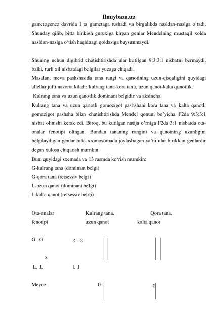 Ilmiybaza.uz 
gametogenez davrida 1 ta gametaga tushadi va birgalikda nasldan-naslga o‘tadi. 
Shunday qilib, bitta birikish guruxiga kirgan genlar Mendelning mustaqil xolda 
nasldan-naslga o‘tish haqidaagi qoidasiga buysunmaydi. 
 
Shuning uchun digibrid chatishtirishda ular kutilgan 9:3:3:1 nisbatni bermaydi, 
balki, turli xil nisbatdagi belgilar yuzaga chiqadi. 
Masalan, meva pashshasida tana rangi va qanotining uzun-qisqaligini quyidagi 
allellar jufti nazorat kiladi: kulrang tana-kora tana, uzun qanot-kalta qanotlik. 
 Kulrang tana va uzun qanotlik dominant belgidir va aksincha. 
Kulrang tana va uzun qanotli gomozigot pashshani kora tana va kalta qanotli 
gomozigot pashsha bilan chatishtirishda Mendel qonuni bo’yicha F2da 9:3:3:1 
nisbat olinishi kerak edi. Biroq, bu kutilgan natija o’rniga F2da 3:1 nisbatda ota-
onalar fenotipi olingan. Bundan tananing rangini va qanotning uzunligini 
belgilaydigan genlar bitta xromosomada joylashagan ya’ni ular birikkan genlardir 
degan xulosa chiqarish mumkin. 
Buni quyidagi sxemada va 13 rasmda ko‘rish mumkin: 
G-kulrang tana (dominant belgi) 
G-qora tana (retsessiv belgi) 
L-uzun qanot (dominant belgi) 
l -kalta qanot (retsessiv belgi) 
 
Ota-onalar  
 
 Kulrang tana, 
 
 
Qora tana,  
fenotipi  
 
 
 uzun qanot  
 
kalta qanot 
 
G. .G    
  
 g . .g 
 
 
x 
 L. .L    
  
 l. .l 
 
Meyoz   
 
 
 
G. 
 
 
 
 .g 
