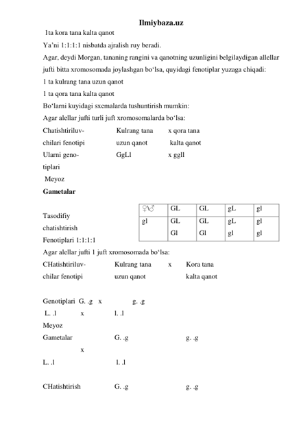 Ilmiybaza.uz 
 1ta kora tana kalta qanot 
Ya’ni 1:1:1:1 nisbatda ajralish ruy beradi. 
Agar, deydi Morgan, tananing rangini va qanotning uzunligini belgilaydigan allellar 
jufti bitta xromosomada joylashgan bo‘lsa, quyidagi fenotiplar yuzaga chiqadi: 
1 ta kulrang tana uzun qanot 
1 ta qora tana kalta qanot 
Bo‘larni kuyidagi sxemalarda tushuntirish mumkin: 
Agar alellar jufti turli juft xromosomalarda bo‘lsa: 
Chatishtiriluv- 
 
 Kulrang tana 
x qora tana 
chilari fenotipi  
 
 uzun qanot  
 kalta qanot 
Ularni geno- 
 
 GgLl  
 
x ggll 
tiplari 
 Meyoz  
Gametalar 
 
Tasodifiy 
chatishtirish 
Fenotiplari 1:1:1:1 
Agar alellar jufti 1 juft xromosomada bo‘lsa: 
CHatishtiriluv- 
 
Kulrang tana 
x 
Kora tana 
 
chilar fenotipi 
 
uzun qanot  
 
kalta qanot 
 
Genotiplari  G. .g   x  
 
g. .g 
 L. .l  
 x 
 
l. .l 
Meyoz 
Gametalar   
 
G. .g  
 
 
g. .g 
 
 
 x 
L. .l  
 
 
 l. .l 
 
CHatishtirish  
 
G. .g  
 
 
g. .g 
♀\♂ 
GL 
GL 
gL 
gl 
gl 
GL 
Gl 
GL 
Gl 
gL 
gl 
gl 
gl 
