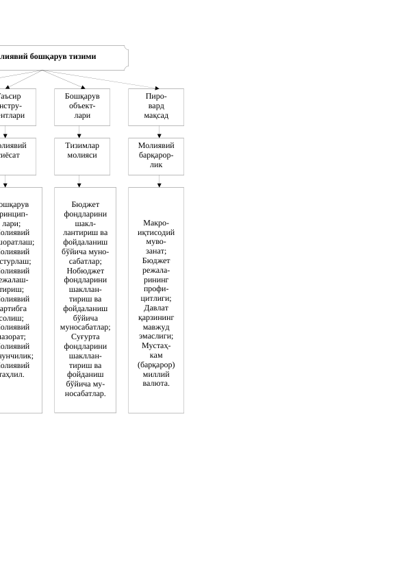 лиявий бошқарув тизими
Таъсир 
нстру-
ентлари
Пиро-
вард
мақсад
Бошқарув 
объект-
лари
олиявий 
сиёсат
Тизимлар
молияси
Молиявий 
барқарор-
лик
ошқарув 
ринцип-
лари;
Молиявий 
шоратлаш;
Молиявий 
стурлаш;
Молиявий 
ежалаш-
тириш;
Молиявий 
артибга 
солиш;
Молиявий 
назорат;
Молиявий 
нунчилик;
Молиявий 
таҳлил.
Бюджет 
фондларини 
шакл-
лантириш ва 
фойдаланиш 
бўйича муно-
сабатлар;
Нобюджет
фондларини 
шакллан-
тириш ва 
фойдаланиш 
бўйича 
муносабатлар;
Суғурта 
фондларини 
шакллан-
тириш ва 
фойданиш 
бўйича му-
носабатлар.
Макро-
иқтисодий 
муво-
занат;
Бюджет
режала-
рининг
профи-
цитлиги;
Давлат
қарзининг
мавжуд
эмаслиги;
Мустаҳ-
кам
(барқарор)
миллий
валюта.

