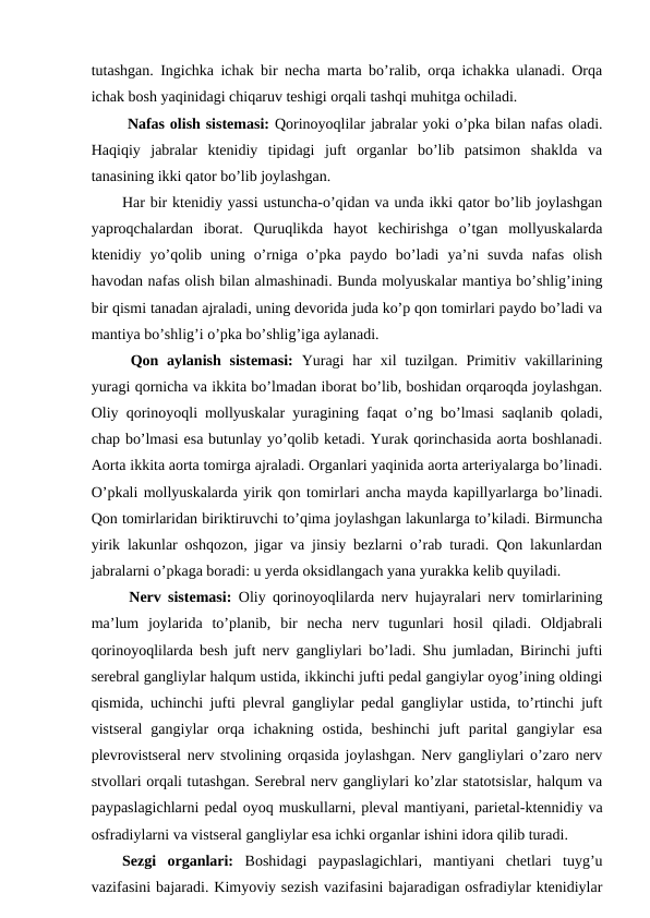 tutashgan. Ingichka ichak bir necha marta bo’ralib, orqa ichakka ulanadi. Orqa
ichak bosh yaqinidagi chiqaruv teshigi orqali tashqi muhitga ochiladi. 
 Nafas olish sistemasi: Qorinoyoqlilar jabralar yoki o’pka bilan nafas oladi.
Haqiqiy  jabralar  ktenidiy  tipidagi  juft  organlar  bo’lib  patsimon  shaklda  va
tanasining ikki qator bo’lib joylashgan. 
Har bir ktenidiy yassi ustuncha-o’qidan va unda ikki qator bo’lib joylashgan
yaproqchalardan  iborat.  Quruqlikda  hayot  kechirishga  o’tgan  mollyuskalarda
ktenidiy  yo’qolib  uning  o’rniga  o’pka  paydo  bo’ladi  ya’ni  suvda  nafas  olish
havodan nafas olish bilan almashinadi. Bunda molyuskalar mantiya bo’shlig’ining
bir qismi tanadan ajraladi, uning devorida juda ko’p qon tomirlari paydo bo’ladi va
mantiya bo’shlig’i o’pka bo’shlig’iga aylanadi.
 Qon aylanish  sistemasi:  Yuragi  har  xil  tuzilgan. Primitiv vakillarining
yuragi qornicha va ikkita bo’lmadan iborat bo’lib, boshidan orqaroqda joylashgan.
Oliy qorinoyoqli mollyuskalar yuragining faqat o’ng bo’lmasi saqlanib qoladi,
chap bo’lmasi esa butunlay yo’qolib ketadi. Yurak qorinchasida aorta boshlanadi.
Aorta ikkita aorta tomirga ajraladi. Organlari yaqinida aorta arteriyalarga bo’linadi.
O’pkali mollyuskalarda yirik qon tomirlari ancha mayda kapillyarlarga bo’linadi.
Qon tomirlaridan biriktiruvchi to’qima joylashgan lakunlarga to’kiladi. Birmuncha
yirik lakunlar oshqozon, jigar va jinsiy bezlarni o’rab turadi. Qon lakunlardan
jabralarni o’pkaga boradi: u yerda oksidlangach yana yurakka kelib quyiladi. 
 Nerv sistemasi: Oliy qorinoyoqlilarda nerv hujayralari nerv tomirlarining
ma’lum  joylarida  to’planib,  bir  necha  nerv  tugunlari  hosil  qiladi.  Oldjabrali
qorinoyoqlilarda besh juft nerv gangliylari bo’ladi. Shu jumladan, Birinchi jufti
serebral gangliylar halqum ustida, ikkinchi jufti pedal gangiylar oyog’ining oldingi
qismida, uchinchi jufti plevral gangliylar pedal gangliylar ustida, to’rtinchi juft
vistseral  gangiylar  orqa  ichakning  ostida,  beshinchi  juft  parital  gangiylar  esa
plevrovistseral nerv stvolining orqasida joylashgan. Nerv gangliylari o’zaro nerv
stvollari orqali tutashgan. Serebral nerv gangliylari ko’zlar statotsislar, halqum va
paypaslagichlarni pedal oyoq muskullarni, pleval mantiyani, parietal-ktennidiy va
osfradiylarni va vistseral gangliylar esa ichki organlar ishini idora qilib turadi. 
Sezgi  organlari: Boshidagi  paypaslagichlari,  mantiyani  chetlari  tuyg’u
vazifasini bajaradi. Kimyoviy sezish vazifasini bajaradigan osfradiylar ktenidiylar
