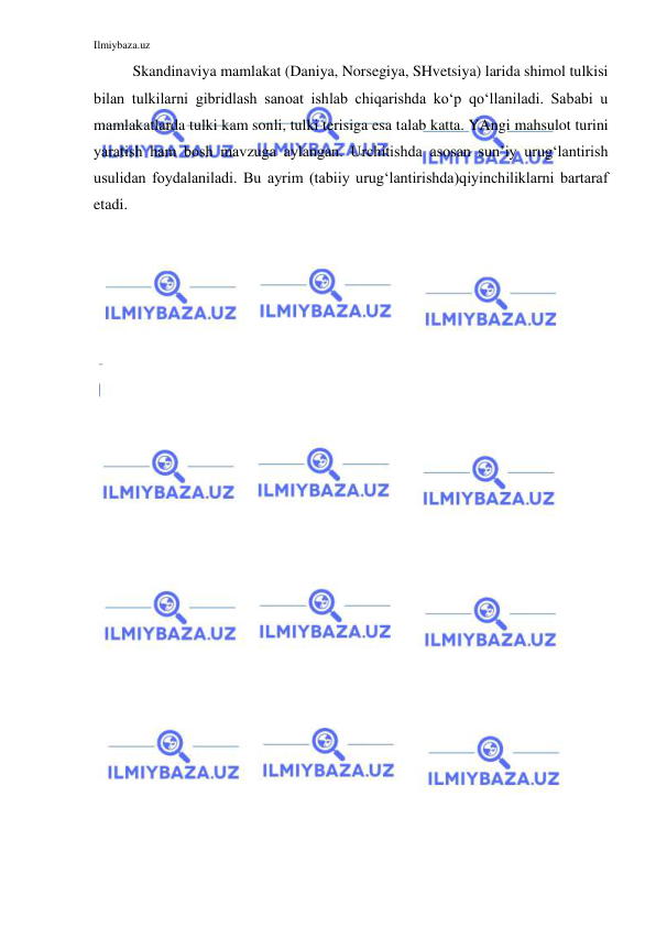 Ilmiybaza.uz 
 
Skandinaviya mamlakat (Daniya, Norsegiya, SHvetsiya) larida shimol tulkisi 
bilan tulkilarni gibridlash sanoat ishlab chiqarishda ko‘p qo‘llaniladi. Sababi u 
mamlakatlarda tulki kam sonli, tulki terisiga esa talab katta. YAngi mahsulot turini 
yaratish ham bosh mavzuga aylangan. Urchitishda asosan sun’iy urug‘lantirish 
usulidan foydalaniladi. Bu ayrim (tabiiy urug‘lantirishda)qiyinchiliklarni bartaraf 
etadi. 
 
