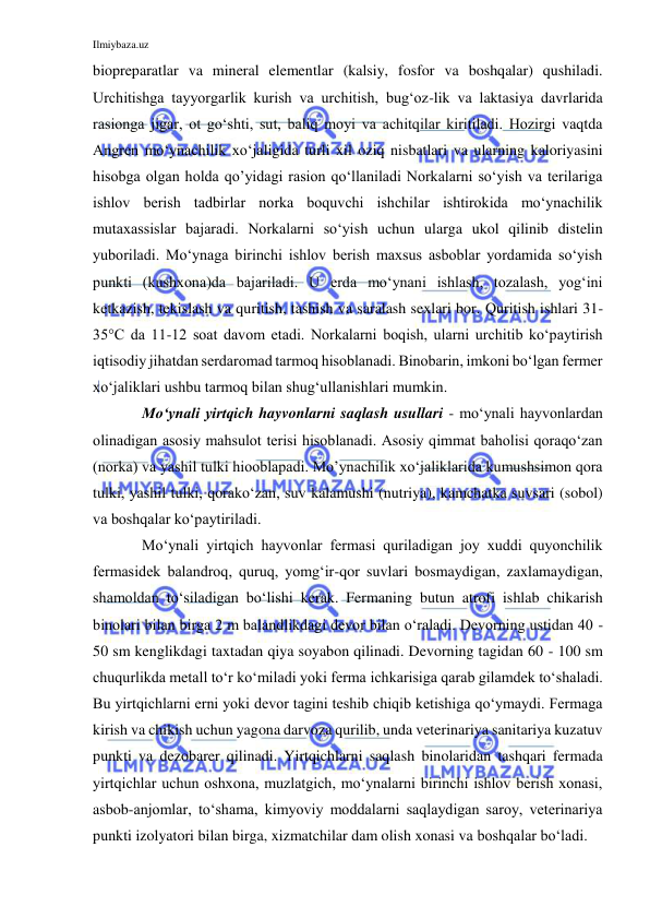 Ilmiybaza.uz 
 
biopreparatlar va mineral elementlar (kalsiy, fosfor va boshqalar) qushiladi. 
Urchitishga tayyorgarlik kurish va urchitish, bug‘oz-lik va laktasiya davrlarida 
rasionga jigar, ot go‘shti, sut, baliq moyi va achitqilar kiritiladi. Hozirgi vaqtda 
Angren mo‘ynachilik xo‘jaligida turli xil oziq nisbatlari va ularning kaloriyasini 
hisobga olgan holda qo’yidagi rasion qo‘llaniladi Norkalarni so‘yish va terilariga 
ishlov berish tadbirlar norka boquvchi ishchilar ishtirokida mo‘ynachilik 
mutaxassislar bajaradi. Norkalarni so‘yish uchun ularga ukol qilinib distelin 
yuboriladi. Mo‘ynaga birinchi ishlov berish maxsus asboblar yordamida so‘yish 
punkti (kushxona)da bajariladi. U erda mo‘ynani ishlash, tozalash, yog‘ini 
ketkazish, tekislash va quritish, tashish va saralash sexlari bor. Quritish ishlari 31-
35°C da 11-12 soat davom etadi. Norkalarni boqish, ularni urchitib ko‘paytirish 
iqtisodiy jihatdan serdaromad tarmoq hisoblanadi. Binobarin, imkoni bo‘lgan fermer 
xo‘jaliklari ushbu tarmoq bilan shug‘ullanishlari mumkin. 
Mo‘ynali yirtqich hayvonlarni saqlash usullari - mo‘ynali hayvonlardan 
olinadigan asosiy mahsulot terisi hisoblanadi. Asosiy qimmat baholisi qoraqo‘zan 
(norka) va yashil tulki hiooblapadi. Mo’ynachilik xo‘jaliklarida kumushsimon qora 
tulki, yashil tulki, qorako‘zan, suv kalamushi (nutriya), kamchatka suvsari (sobol) 
va boshqalar ko‘paytiriladi. 
Mo‘ynali yirtqich hayvonlar fermasi quriladigan joy xuddi quyonchilik 
fermasidek balandroq, quruq, yomg‘ir-qor suvlari bosmaydigan, zaxlamaydigan, 
shamoldan to‘siladigan bo‘lishi kerak. Fermaning butun atrofi ishlab chikarish 
binolari bilan birga 2 m balandlikdagi devor bilan o‘raladi. Devorning ustidan 40 - 
50 sm kenglikdagi taxtadan qiya soyabon qilinadi. Devorning tagidan 60 - 100 sm 
chuqurlikda metall to‘r ko‘miladi yoki ferma ichkarisiga qarab gilamdek to‘shaladi. 
Bu yirtqichlarni erni yoki devor tagini teshib chiqib ketishiga qo‘ymaydi. Fermaga 
kirish va chikish uchun yagona darvoza qurilib, unda veterinariya sanitariya kuzatuv 
punkti va dezobarer qilinadi. Yirtqichlarni saqlash binolaridan tashqari fermada 
yirtqichlar uchun oshxona, muzlatgich, mo‘ynalarni birinchi ishlov berish xonasi, 
asbob-anjomlar, to‘shama, kimyoviy moddalarni saqlaydigan saroy, veterinariya 
punkti izolyatori bilan birga, xizmatchilar dam olish xonasi va boshqalar bo‘ladi. 
