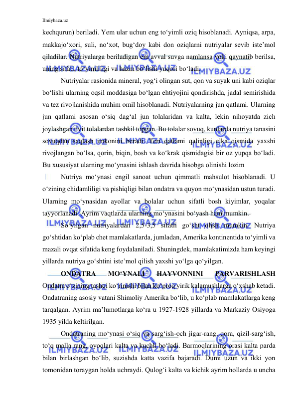 Ilmiybaza.uz 
 
kechqurun) beriladi. Yem ular uchun eng to‘yimli oziq hisoblanadi. Ayniqsa, arpa, 
makkajo‘xori, suli, no‘xot, bug‘doy kabi don oziqlarni nutriyalar sevib iste’mol 
qiladilar. Nutriyalarga beriladigan em avval suvga namlansa yoki qaynatib berilsa, 
uning sifati, to‘yimliligi va hazm bo‘lishi yuqori bo‘ladi. 
Nutriyalar rasionida mineral, yog‘i olingan sut, qon va suyak uni kabi oziqlar 
bo‘lishi ularning oqsil moddasiga bo‘lgan ehtiyojini qondirishda, jadal semirishida 
va tez rivojlanishida muhim omil hisoblanadi. Nutriyalarning jun qatlami. Ularning 
jun qatlami asosan o‘siq dag‘al jun tolalaridan va kalta, lekin nihoyatda zich 
joylashgan tivit tolalardan tashkil topgan. Bu tolalar sovuq, kunlarda nutriya tanasini 
sovuqdan saqlash imkonini beradi. Teri qatlami qalinligi elka qismida yaxshi 
rivojlangan bo‘lsa, qorin, biqin, bosh va ko‘krak qismidagisi bir oz yupqa bo‘ladi. 
Bu xususiyat ularning mo‘ynasini ishlash davrida hisobga olinishi lozim 
Nutriya mo‘ynasi engil sanoat uchun qimmatli mahsulot hisoblanadi. U 
o‘zining chidamliligi va pishiqligi bilan ondatra va quyon mo‘ynasidan ustun turadi. 
Ularning mo‘ynasidan ayollar va bolalar uchun sifatli bosh kiyimlar, yoqalar 
tayyorlanadi. Ayrim vaqtlarda ularning mo‘ynasini bo‘yash ham mumkin. 
So‘yilgan nutriyalardan 2,5-3,5 sifatli go‘sht olish mumkin. Nutriya 
go‘shtidan ko‘plab chet mamlakatlarda, jumladan, Amerika kontinentida to‘yimli va 
mazali ovqat sifatida keng foydalaniladi. Shuningdek, mamlakatimizda ham keyingi 
yillarda nutriya go‘shtini iste’mol qilish yaxshi yo‘lga qo‘yilgan. 
ONDATRA 
MO‘YNALI 
HAYVONNINI 
PARVARISHLASH 
Ondatra o‘zining tashqi ko‘rinishi bilan ko‘proq yirik kalamushlarga o‘xshab ketadi. 
Ondatraning asosiy vatani Shimoliy Amerika bo‘lib, u ko‘plab mamlakatlarga keng 
tarqalgan. Ayrim ma’lumotlarga ko‘ra u 1927-1928 yillarda va Markaziy Osiyoga 
1935 yilda keltirilgan. 
Ondatraning mo‘ynasi o‘siq va sarg‘ish-och jigar-rang, qora, qizil-sarg‘ish, 
to‘q malla rang, oyoqlari kalta va kuchli bo‘ladi. Barmoqlarining orasi kalta parda 
bilan birlashgan bo‘lib, suzishda katta vazifa bajaradi. Dumi uzun va ikki yon 
tomonidan toraygan holda uchraydi. Qulog‘i kalta va kichik ayrim hollarda u uncha 
