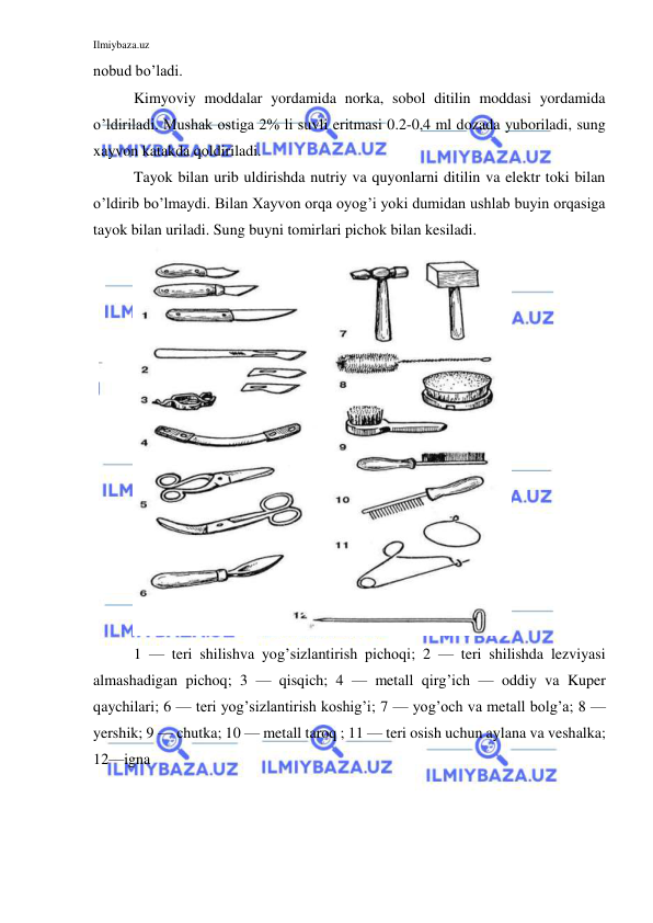Ilmiybaza.uz 
 
nobud bo’ladi. 
Kimyoviy moddalar yordamida norka, sobol ditilin moddasi yordamida 
o’ldiriladi. Mushak ostiga 2% li suvli eritmasi 0.2-0,4 ml dozada yuboriladi, sung 
xayvon katakda qoldiriladi. 
Tayok bilan urib uldirishda nutriy va quyonlarni ditilin va elektr toki bilan 
o’ldirib bo’lmaydi. Bilan Xayvon orqa oyog’i yoki dumidan ushlab buyin orqasiga 
tayok bilan uriladi. Sung buyni tomirlari pichok bilan kesiladi. 
 
1 — teri shilishva yog’sizlantirish pichoqi; 2 — teri shilishda lezviyasi 
almashadigan pichoq; 3 — qisqich; 4 — metall qirg’ich — oddiy va Kuper 
qaychilari; 6 — teri yog’sizlantirish koshig’i; 7 — yog’och va metall bolg’a; 8 — 
yershik; 9 — chutka; 10 — metall taroq ; 11 — teri osish uchun aylana va veshalka; 
12—igna 
