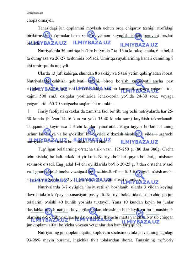 Ilmiybaza.uz 
 
chopa olmaydi.  
Tanasidagi jun qoplamini moylash uchun orqa chiqaruv teshigi atrofidagi 
biriktiruvchi to‘qimalarda maxsus maysimon suyuqlik ishlab beruvchi bezlari 
bo‘ladi. 
Nutriyalarda 56 umirtqa bo‘lib: bo‘ynida 7 ta, 13 ta kurak qismida, 6 ta bel, 4 
ta dumg‘aza va 26-27 ta dumida bo‘ladi. Umirtqa suyaklarining kanali dumining 8 
chi umirtqasida tugaydi.  
Ularda 13 juft kabirga, shundan 8 xakikiy va 5 tasi yetim qobirg‘adan iborat. 
Nutriyalarda eshitish qobilyati yaxshi, biroq ko‘rish xususiyati ancha past 
rivojlangan. Qorin tuzilishi cho‘chqanikiga xos-bir kamerali, voyaga yetganlarida, 
xajmi 500 sm3. oziqalar yoshlarida ichak-qorin yo‘lida 24-30 soat, voyaga 
yetganlarida 60-70 soatgacha saqlanishi mumkin.  
Jinsiy faoliyati erkaklarida xamisha faol bo‘lib, urg‘ochi nutriyalarda har 25-
30 kunda (ba’zan 14-16 kun va yoki 35-40 kunda xam) kuyikish takrorlanadi. 
Tuqqanidan keyin esa 1-3 chi kunlari yana otalanishga tayyor bo‘ladi. shuning 
uchun laktatsiya va bo‘g‘ozlikni bir davrida o‘tkazish hisobiga 1 yilda 1 urg‘ochi 
nutriyadan 2-2,5 marta bola olish tashkil etadi. 
Tug‘ilgan bolalarning o‘rtacha tirik vazni 175-250 g. (80 dan 380g. Gacha 
tebranishda) bo‘ladi. erkaklari yirikrok. Nutriya bolalari quyon bolalariga nisbatan 
sekinrok o‘sadi. Eng jadal 1-4 chi oyliklarida bo‘lib 20-25 g. 7 dan o‘rtacha o‘sadi 
va 1 gramm qo‘shimcha vazniga 4-6g. oz. bir. Sarflanadi. 5-6 oyligida o‘sish ancha 
susayib, me’yorda 1,5-2 yoshgacha o‘sish davom etishi mumkin. 
Nutriyalarda 3-7 oyligida jinsiy yetilish boshlanib, ularda 3 yildan keyingi 
davrda takror ko‘payish xususiyati pasayadi. Nutriya bolalarida dastlab chiqqan jun 
tolalarini o‘sishi 40 kunlik yoshida tuxtaydi. Yana 10 kundan keyin bu junlar 
dastlabka tulash natijasida yangilari bilan almashina boshlaydi va bu almashinish 
ularning 4-5 oylik yoshigacha davom etadi. Ikkinchi marta yangilanib o‘sib chiqqan 
jun qoplami sifati bo‘yicha voyaga yetganlaridan kam farq qiladi. 
Nutriyaning jun qoplami qattiq koplovchi sochsimon tukdan va uning tagidagi 
93-98% mayin burama, ingichka tivit tolalaridan iborat. Tanasining me’yoriy 
