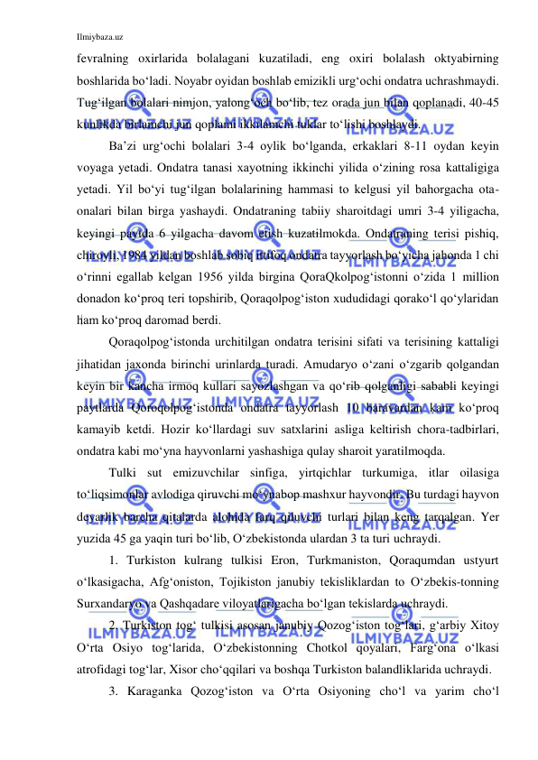 Ilmiybaza.uz 
 
fevralning oxirlarida bolalagani kuzatiladi, eng oxiri bolalash oktyabirning 
boshlarida bo‘ladi. Noyabr oyidan boshlab emizikli urg‘ochi ondatra uchrashmaydi. 
Tug‘ilgan bolalari nimjon, yalong‘och bo‘lib, tez orada jun bilan qoplanadi, 40-45 
kunlikda birlamchi jun qoplami ikkilamchi tuklar to‘lishi boshlaydi. 
Ba’zi urg‘ochi bolalari 3-4 oylik bo‘lganda, erkaklari 8-11 oydan keyin 
voyaga yetadi. Ondatra tanasi xayotning ikkinchi yilida o‘zining rosa kattaligiga 
yetadi. Yil bo‘yi tug‘ilgan bolalarining hammasi to kelgusi yil bahorgacha ota-
onalari bilan birga yashaydi. Ondatraning tabiiy sharoitdagi umri 3-4 yiligacha, 
keyingi paytda 6 yilgacha davom etish kuzatilmokda. Ondatraning terisi pishiq, 
chiroyli, 1984 yildan boshlab sobiq ittifoq ondatra tayyorlash bo‘yicha jahonda 1 chi 
o‘rinni egallab kelgan 1956 yilda birgina QoraQkolpog‘istonni o‘zida 1 million 
donadon ko‘proq teri topshirib, Qoraqolpog‘iston xududidagi qorako‘l qo‘ylaridan 
ham ko‘proq daromad berdi. 
Qoraqolpog‘istonda urchitilgan ondatra terisini sifati va terisining kattaligi 
jihatidan jaxonda birinchi urinlarda turadi. Amudaryo o‘zani o‘zgarib qolgandan 
keyin bir kancha irmoq kullari sayozlashgan va qo‘rib qolganligi sababli keyingi 
paytlarda Qoroqolpog‘istonda ondatra tayyorlash 10 baravardan kam ko‘proq 
kamayib ketdi. Hozir ko‘llardagi suv satxlarini asliga keltirish chora-tadbirlari, 
ondatra kabi mo‘yna hayvonlarni yashashiga qulay sharoit yaratilmoqda. 
Tulki sut emizuvchilar sinfiga, yirtqichlar turkumiga, itlar oilasiga 
to‘liqsimonlar avlodiga qiruvchi mo‘ynabop mashxur hayvondir. Bu turdagi hayvon 
deyarlik barcha qitalarda alohida farq qiluvchi turlari bilan keng tarqalgan. Yer 
yuzida 45 ga yaqin turi bo‘lib, O‘zbekistonda ulardan 3 ta turi uchraydi. 
1. Turkiston kulrang tulkisi Eron, Turkmaniston, Qoraqumdan ustyurt 
o‘lkasigacha, Afg‘oniston, Tojikiston janubiy tekisliklardan to O‘zbekis-tonning 
Surxandaryo va Qashqadare viloyatlarigacha bo‘lgan tekislarda uchraydi. 
2. Turkiston tog‘ tulkisi asosan janubiy Qozog‘iston tog‘lari, g‘arbiy Xitoy 
O‘rta Osiyo tog‘larida, O‘zbekistonning Chotkol qoyalari, Farg‘ona o‘lkasi 
atrofidagi tog‘lar, Xisor cho‘qqilari va boshqa Turkiston balandliklarida uchraydi. 
3. Karaganka Qozog‘iston va O‘rta Osiyoning cho‘l va yarim cho‘l 
