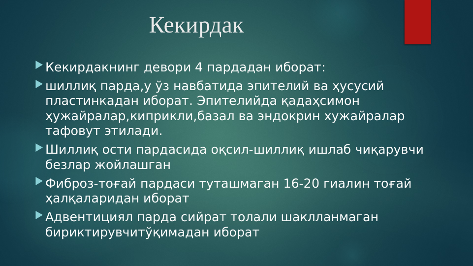 Кекирдак
Кекирдакнинг девори 4 пардадан иборат:
шиллиқ парда,у ўз навбатида эпителий ва ҳусусий 
пластинкадан иборат. Эпителийда қадаҳсимон 
ҳужайралар,киприкли,базал ва эндокрин хужайралар 
тафовут этилади.
Шиллиқ ости пардасида оқсил-шиллиқ ишлаб чиқарувчи 
безлар жойлашган
Фиброз-тоғай пардаси туташмаган 16-20 гиалин тоғай 
ҳалқаларидан иборат
Адвентициял парда сийрат толали шаклланмаган 
бириктирувчитўқимадан иборат 
