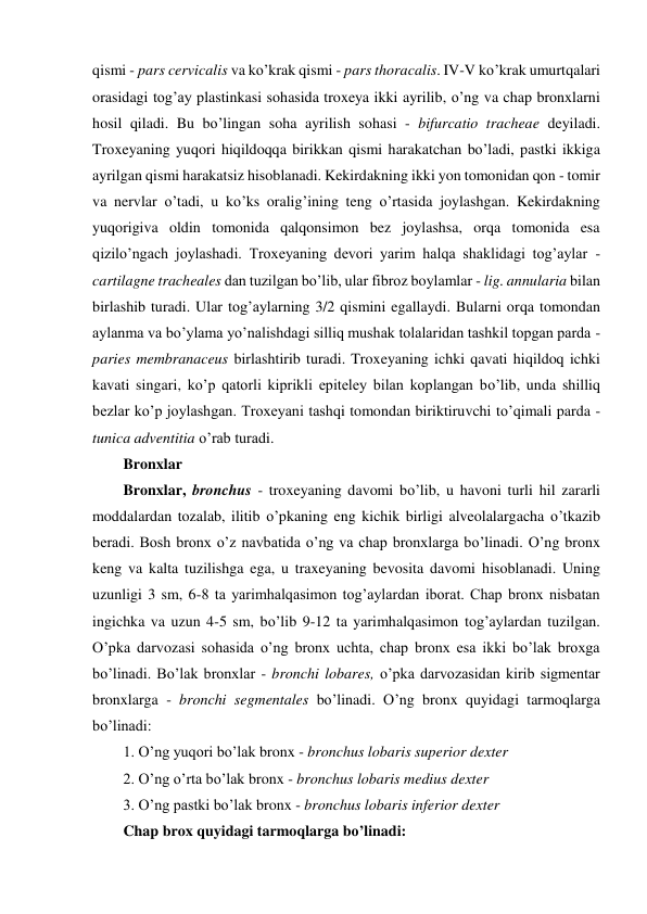 qismi - pars cervicalis va ko’krak qismi - pars thoracalis. IV-V ko’krak umurtqalari 
orasidagi tog’ay plastinkasi sohasida troxeya ikki ayrilib, o’ng va chap bronxlarni 
hosil qiladi. Bu bo’lingan soha ayrilish sohasi - bifurcatio tracheae deyiladi. 
Troxeyaning yuqori hiqildoqqa birikkan qismi harakatchan bo’ladi, pastki ikkiga 
ayrilgan qismi harakatsiz hisoblanadi. Kekirdakning ikki yon tomonidan qon - tomir 
va nervlar o’tadi, u ko’ks oralig’ining teng o’rtasida joylashgan. Kekirdakning 
yuqorigiva oldin tomonida qalqonsimon bez joylashsa, orqa tomonida esa 
qiziloʼngach joylashadi. Troxeyaning devori yarim halqa shaklidagi togʼaylar - 
cartilagne tracheales dan tuzilgan boʼlib, ular fibroz boylamlar - lig. annularia bilan 
birlashib turadi. Ular tog’aylarning 3/2 qismini egallaydi. Bularni orqa tomondan 
aylanma va boʼylama yoʼnalishdagi silliq mushak tolalaridan tashkil topgan parda - 
paries membranaceus birlashtirib turadi. Troxeyaning ichki qavati hiqildoq ichki 
kavati singari, koʼp qatorli kiprikli epiteley bilan koplangan bo’lib, unda shilliq 
bezlar koʼp joylashgan. Troxeyani tashqi tomondan biriktiruvchi to’qimali parda - 
tunica adventitia oʼrab turadi.  
Bronxlar 
Bronxlar, bronchus - troxeyaning davomi bo’lib, u havoni turli hil zararli 
moddalardan tozalab, ilitib o’pkaning eng kichik birligi alveolalargacha o’tkazib 
beradi. Bosh bronx oʼz navbatida oʼng va chap bronxlarga bo’linadi. O’ng bronx 
keng va kalta tuzilishga ega, u traxeyaning bevosita davomi hisoblanadi. Uning 
uzunligi 3 sm, 6-8 ta yarimhalqasimon togʼaylardan iborat. Chap bronx nisbatan 
ingichka va uzun 4-5 sm, bo’lib 9-12 ta yarimhalqasimon tog’aylardan tuzilgan. 
Oʼpka darvozasi sohasida oʼng bronx uchta, chap bronx esa ikki boʼlak broxga 
boʼlinadi. Boʼlak bronxlar - bronchi lobares, oʼpka darvozasidan kirib sigmentar 
bronxlarga - bronchi segmentales bo’linadi. O’ng bronx quyidagi tarmoqlarga 
boʼlinadi: 
1. Oʼng yuqori boʼlak bronx - bronchus lobaris superior dexter  
2. Oʼng oʼrta boʼlak bronx - bronchus lobaris medius dexter  
3. Oʼng pastki boʼlak bronx - bronchus lobaris inferior dexter 
Chap brox quyidagi tarmoqlarga bo’linadi: 
