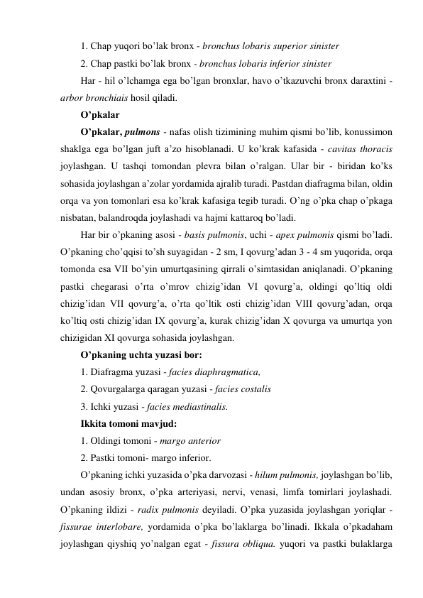 1. Chap yuqori boʼlak bronx - bronchus lobaris superior sinister 
2. Chap pastki boʼlak bronx - bronchus lobaris inferior sinister 
Har - hil oʼlchamga ega bo’lgan bronxlar, havo oʼtkazuvchi bronx daraxtini - 
arbor bronchiais hosil qiladi. 
Oʼpkalar 
Oʼpkalar, pulmons - nafas olish tizimining muhim qismi bo’lib, konussimon 
shaklga ega bo’lgan juft a’zo hisoblanadi. U ko’krak kafasida - cavitas thoracis 
joylashgan. U tashqi tomondan plevra bilan oʼralgan. Ular bir - biridan ko’ks 
sohasida joylashgan a’zolar yordamida ajralib turadi. Pastdan diafragma bilan, oldin 
orqa va yon tomonlari esa ko’krak kafasiga tegib turadi. O’ng o’pka chap oʼpkaga 
nisbatan, balandroqda joylashadi va hajmi kattaroq bo’ladi. 
Har bir o’pkaning asosi - basis pulmonis, uchi - apex pulmonis qismi bo’ladi. 
O’pkaning choʼqqisi toʼsh suyagidan - 2 sm, I qovurgʼadan 3 - 4 sm yuqorida, orqa 
tomonda esa VII boʼyin umurtqasining qirrali oʼsimtasidan aniqlanadi. Oʼpkaning 
pastki chegarasi o’rta oʼmrov chizig’idan VI qovurgʼa, oldingi qoʼltiq oldi 
chizigʼidan VII qovurgʼa, oʼrta qoʼltik osti chizig’idan VIII qovurgʼadan, orqa 
ko’ltiq osti chizigʼidan IX qovurgʼa, kurak chizigʼidan X qovurga va umurtqa yon 
chizigidan XI qovurga sohasida joylashgan. 
Oʼpkaning uchta yuzasi bor:  
1. Diafragma yuzasi - facies diaphragmatica, 
2. Qovurgalarga qaragan yuzasi - facies costalis 
3. Ichki yuzasi - facies mediastinalis.  
Ikkita tomoni mavjud: 
1. Oldingi tomoni - margo anterior 
2. Pastki tomoni- margo inferior. 
O’pkaning ichki yuzasida o’pka darvozasi - hilum pulmonis, joylashgan boʼlib, 
undan asosiy bronx, oʼpka arteriyasi, nervi, venasi, limfa tomirlari joylashadi. 
O’pkaning ildizi - radix pulmonis deyiladi. Oʼpka yuzasida joylashgan yoriqlar - 
fissurae interlobare, yordamida o’pka bo’laklarga bo’linadi. Ikkala o’pkadaham 
joylashgan qiyshiq yo’nalgan egat - fissura obliqua. yuqori va pastki bulaklarga 
