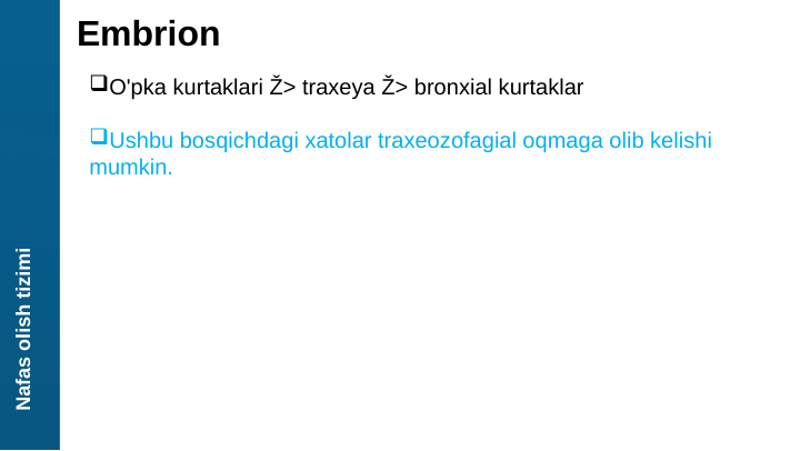 Nafas olish tizimi
Embrion
O'pka kurtaklari Ž> traxeya Ž> bronxial kurtaklar
Ushbu bosqichdagi xatolar traxeozofagial oqmaga olib kelishi 
mumkin.
