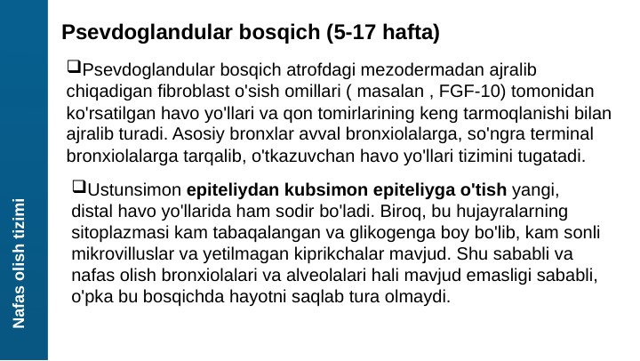 Nafas olish tizimi
Psevdoglandular bosqich (5-17 hafta)
Psevdoglandular bosqich atrofdagi mezodermadan ajralib 
chiqadigan fibroblast o'sish omillari ( masalan , FGF-10) tomonidan 
ko'rsatilgan havo yo'llari va qon tomirlarining keng tarmoqlanishi bilan 
ajralib turadi. Asosiy bronxlar avval bronxiolalarga, so'ngra terminal 
bronxiolalarga tarqalib, o'tkazuvchan havo yo'llari tizimini tugatadi.
Ustunsimon epiteliydan kubsimon epiteliyga o'tish yangi, 
distal havo yo'llarida ham sodir bo'ladi. Biroq, bu hujayralarning 
sitoplazmasi kam tabaqalangan va glikogenga boy bo'lib, kam sonli 
mikrovilluslar va yetilmagan kiprikchalar mavjud. Shu sababli va 
nafas olish bronxiolalari va alveolalari hali mavjud emasligi sababli, 
o'pka bu bosqichda hayotni saqlab tura olmaydi.
