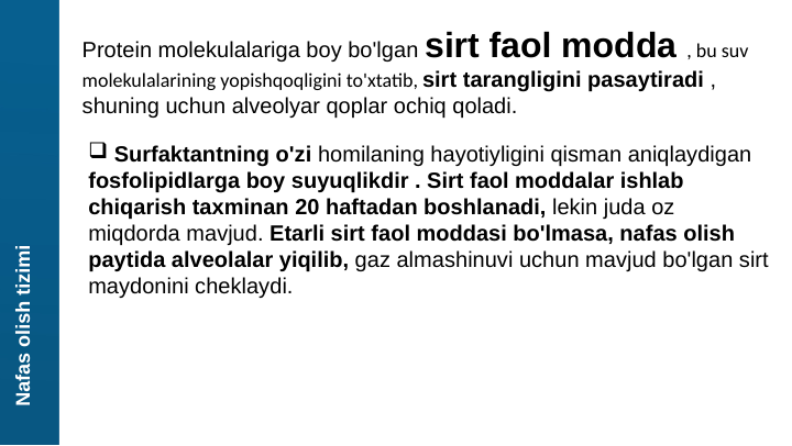 Nafas olish tizimi
Protein molekulalariga boy bo'lgan sirt faol modda , bu suv 
molekulalarining yopishqoqligini to'xtatib, sirt tarangligini pasaytiradi , 
shuning uchun alveolyar qoplar ochiq qoladi.
 Surfaktantning o'zi homilaning hayotiyligini qisman aniqlaydigan 
fosfolipidlarga boy suyuqlikdir . Sirt faol moddalar ishlab 
chiqarish taxminan 20 haftadan boshlanadi, lekin juda oz 
miqdorda mavjud. Etarli sirt faol moddasi bo'lmasa, nafas olish 
paytida alveolalar yiqilib, gaz almashinuvi uchun mavjud bo'lgan sirt 
maydonini cheklaydi.
