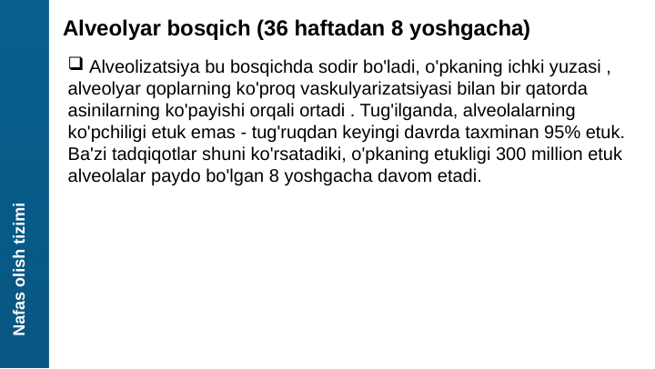 Nafas olish tizimi
Alveolyar bosqich (36 haftadan 8 yoshgacha)
 Alveolizatsiya bu bosqichda sodir bo'ladi, o'pkaning ichki yuzasi , 
alveolyar qoplarning ko'proq vaskulyarizatsiyasi bilan bir qatorda 
asinilarning ko'payishi orqali ortadi . Tug'ilganda, alveolalarning 
ko'pchiligi etuk emas - tug'ruqdan keyingi davrda taxminan 95% etuk. 
Ba'zi tadqiqotlar shuni ko'rsatadiki, o'pkaning etukligi 300 million etuk 
alveolalar paydo bo'lgan 8 yoshgacha davom etadi.
