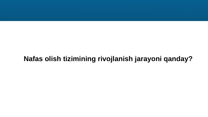 Nafas olish tizimining rivojlanish jarayoni qanday?
