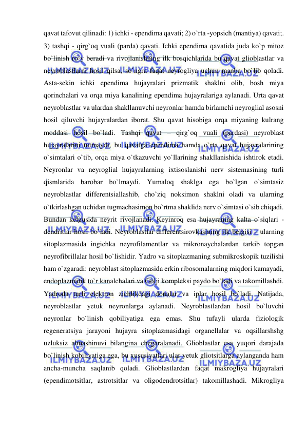  
 
qavat tafovut qilinadi: 1) ichki - ependima qavati; 2) o`rta -yopsich (mantiya) qavati;. 
3) tashqi - qirg`oq vuali (parda) qavati. Ichki ependima qavatida juda ko`p mitoz 
bo`linish ro`y beradi va rivojlanishning ilk bosqichlarida bu qavat glioblastlar va 
neyroblastlarni hosil qilsa, so`ngra faqat neyrogliya uchun manba bo`lib qoladi. 
Asta-sekin ichki ependima hujayralari prizmatik shaklni olib, bosh miya 
qorinchalari va orqa miya kanalining ependima hujayralariga aylanadi. Urta qavat 
neyroblastlar va ulardan shakllanuvchi neyronlar hamda birlamchi neyroglial asosni 
hosil qiluvchi hujayralardan iborat. Shu qavat hisobiga orqa miyaning kulrang 
moddasi hosil bo`ladi. Tashqi qavat – qirg`oq vuali (pardasi) neyroblast 
hujayralarini tutmaydi, bu qavatga ependima hamda o`rta qavat hujayralarining 
o`simtalari o`tib, orqa miya o`tkazuvchi yo`llarining shakllanishida ishtirok etadi. 
Neyronlar va neyroglial hujayralarning ixtisoslanishi nerv sistemasining turli 
qismlarida barobar bo`lmaydi. Yumaloq shaklga ega bo`lgan o`simtasiz 
neyroblastlar differentsiallashib, cho`ziq noksimon shaklni oladi va ularning 
o`tkirlashgan uchidan tugmachasimon bo`rtma shaklida nerv o`simtasi o`sib chiqadi. 
Bundan kelgusida neyrit rivojlanadi. Keyinroq esa hujayraning kalta o`siqlari - 
dendritlar hosil bo`ladi. Neyroblastlar differentsirovkasining ilk belgisi – ularning 
sitoplazmasida ingichka neyrofilamentlar va mikronaychalardan tarkib topgan 
neyrofibrillalar hosil bo`lishidir. Yadro va sitoplazmaning submikroskopik tuzilishi 
ham o`zgaradi: neyroblast sitoplazmasida erkin ribosomalarning miqdori kamayadi, 
endoplazmatik to`r kanalchalari va Golji kompleksi paydo bo`ladi va takomillashdi. 
Yadroda turli elektron zichlikdagi donalar va iplar hosil bo`ladi. Natijada, 
neyroblastlar yetuk neyronlarga aylanadi. Neyroblastlardan hosil bo`luvchi 
neyronlar bo`linish qobiliyatiga ega emas. Shu tufayli ularda fiziologik 
regeneratsiya jarayoni hujayra sitoplazmasidagi organellalar va oqsillarshshg 
uzluksiz almashinuvi bilangina chegaralanadi. Glioblastlar esa yuqori darajada 
bo`linish kobiliyatiga ega, bu xususiyatlari ular yetuk gliotsitlarga aylanganda ham 
ancha-muncha saqlanib qoladi. Glioblastlardan faqat makrogliya hujayralari 
(ependimotsitlar, astrotsitlar va oligodendrotsitlar) takomillashadi. Mikrogliya 
