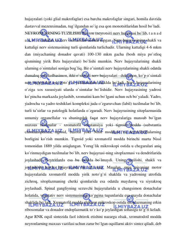  
 
hujayralari (yoki glial makrofaglar) esa barcha makrofaglar singari, homila davrida 
dastavval mezenximadan, tug`ilgandan so`ig esa qon monotsitlaridan hosil bo`ladi. 
NEYRONLARNING TUZILISHI Neyron (neyrotsit) nerv hujayrasi bo`lib, t a n a d 
a n, o` s i mtalari va nerv oxirlaridan tashkil topgan. Nerv hujayrasining shakli va 
kattaligi nerv sistemasining turli qismlarida turlichadir. Ularning kattaligi 4-6 mkm 
dan (miyachaning donador qavati) 100-130 mkm gacha (bosh miya po`stloq 
qismining yirik Bets hujayralari) bo`lishi mumkin. Nerv hujayralarining shakli 
ularning o`simtalari soniga bog`liq. Bir o’simtali nerv hujayralarining shakli odatda 
dumaloq yoki kolbasimon, ikki o`simtali nerv hujayralari - duksimon, ko`p o`simtali 
nerv hujayralari esa noto`g`ri yulduzsimon shaklda bo`ladi. Nerv hujayralarining 
o`ziga xos xususiyati ularda o`simtalar bo`lishidir. Nerv hujayrasining yadrosi 
ko`pincha markazda joylashib, xromatini kam bo`lgani uchun och bo`yaladi. Yadro, 
yadrocha va yadro teshiklari kompleksi juda o`zgaruvchan (labil) tuzilmalar bo`lib, 
turli ta’sirlar va patologik holatlarda o`zgaradi. Nerv hujayrasining sitoplazmasida 
umumiy organellalar va shuningdek faqat nerv hujayralariga mansub bo`lgan 
maxsus tuzilmalar - xromatofil substansiya yoki tigroid modda (substantia 
chromatophilica, tigroid, bazofil yoki Nissl moddasi) va neyrofibrillalarning 
borligini ko`rish mumkin. Tigroid yoki xromatofil modda birinchi marta Nissl 
tomonidan 1889 yilda aniqlangan. Yorug`lik mikroskopi ostida u chegaralari aniq 
ko`rinmaydigan tuzilmalar bo`lib, nerv hujayrasi-ning sitoplazmasi va dendritlarida 
joylashadi. Neytritlarda esa bu modda bo`lmaydi. Uning tuzilishi, shakli va 
joylashishi barcha hujayralarda bir xil emas. Masalan, orqa miyaning motor 
hujayralarida xromatofil modda yirik noto`g`ri shaklda va yadroning atrofida 
zichroq, sitoplazmaning chetki qismlarida esa odatda maydaroq va siyrakroq 
joylashadi. Spinal gangliyning sezuvchi hujayralarida u changsimon donachalar 
holatida, vegetativ nerv sistemasining ko`pgina tugunlarida esa mayda donachalar 
shaklida bo`ladi. Xromatofil modda elektron mikroskop ostida sitoplazmaning erkin 
ribosomalar va donador endoplazmatik to`r ko`p joylashgan sohasiga to`g`ri keladi. 
Agar RNK oqsil sintezida faol ishtirok etishini nazarga olsak, xromatodoil modda 
neyronlarning maxsus vazifasi uchun zarur bo`lgan oqsillarni aktiv sintez qiladi, deb 
