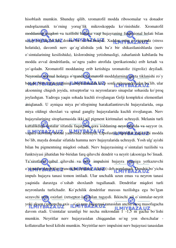  
 
hisoblash mumkin. Shunday qilib, xromatofil modda ribosomalar va donador 
endoplazmatik to`rning yorug`lik mikroskoppda ko`rinishidir. Xromatofil 
moddaning miqdori va tuzilishi hamma vaqt hujayraning funktsional holati bilan 
uzviy bog`liq bo`lnb, doimo bir xil bo`lmaydi. Xaddan ortiq zo`riqqanda (stress 
holatida), davomli nerv qo`zg`alishida yok ba’z bir shikastlanishlarda (nerv 
o`simtalarining kesilishida), kislorodning yetishmasligi, zaharlanish kabilarda bu 
modda avval dendritlarda, so`ngra yadro atrofida (perikarionda) erib ketadi va 
yo`qoladn. Xromatofil moddaning erib ketishiga xromatoliz (tigroliz) deyiladi. 
Neyronlar normal holatga o`tganda xromatofil moddalarning qayta tiklanishi ro`y 
beradi. Nerv hujrayrasining sitoplazmasida ko`p sonli mitoxondriyalar bo`lib, ular 
aksonning chiqish joyida, retseptorlar va neyronlararo sinapslar sohasida ko`proq 
joylashgan. Yadroga yaqin sohada kuchli rivojlangan Golji kompleksi elementlari 
aniqlanadi. U ayniqsa miya po`stlogining harakatlantiruvchi hujayralarida, orqa 
miya oldingi shoxlari va spinal gangliy hujayralarida kuchli rivojlangan. Nerv 
hujayralarining sitoplazmasida ikki xil pigment kiritmalari uchraydi. Melanin turli 
kattalikdagi donalar sifatida faqatgina qora ioddaning neyronlarida va sayyor (n. 
vagus) nervning dorzal yadrosida uchraydi. Lipofustsin lipoidlar saqlovchi modda 
bo`lib, mayda donalar sifatida hamma nerv hujayralarida uchraydi. Yosh ulg`ayishi 
bilan bu pigmentning miqdori oshadi. Nerv hujayrasining o`simtalari tuzilishi va 
funktsiyasi jihatidan bir-biridan farq qiluvchi dendrit va neyrit (akson)ga bo`linadi. 
Ta’sirotlarni qabul qiluvchi va nerv impulsini hujayra tanasiga yetkazuvchi 
o`simtalar dendritlar (yunoncha dendron - daraxt) deb nomlanadi. Dendrit bo`yicha 
impuls hujayra tanasi tomon intiladi. Ular unchalik uzun emas va neyron tanasi 
yaqinida daraxtga o`xshab shoxlanib tugallanadi. Dendritlar miqdori turli 
neyronlarda turlichadir. Ko`pchilik dendritlar maxsus tuzilishga ega bo`lgan 
sezuvchi nerv oxirlari (retseptor-lar) bilan tugaydi. Ikkinchi xil o`simtalar-neyrit 
yoki akson (yunoncha axis - o`q) nerv hujayrasi tanasidan ancha uzoq masofagacha 
davom etadi. Usimtalar uzunligi bir necha mikrondan 1 -1,5 m gacha bo`lishi 
mumkin. Neyritlar nerv hujayrasidan chiqqandan so`ng yon shoxchalar - 
kollaterallar hosil kilishi mumkin. Neytritlar nerv impulsini nerv hujayrasi tanasidan 
