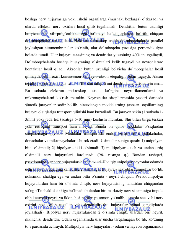  
 
boshqa nerv hujayrasiga yoki ishchi organlarga (mushak, bezlarga) o`tkazadi va 
ularda effektor nerv oxirlari hosil qilib tugallanadi. Dendritlar butun uzunligi 
bo`yicha bir xil po`g`onlikka ega bo`lmay, ba’zi joylarida bo`rtib chiqqan 
do`mboqchalar xosil qiladi. Elektron mikroskop ostida do`mboqchalarda parallel 
joylashgan sitomembranalar ko`rinib, ular do`mboqcha yuzasiga perpendikulyar 
holatda turadi. Ular hujayra tanasining va dendritlar yuzasining 40% ini egallaydi, 
Do`mboqchalarda boshqa hujayraning o`simtalari kelib tugaydi va neyronlararo 
kontaktlar hosil qiladi. Aksonlar butun uzunligi bo`yicha do`mboqchalar hosil 
qilmaydi, lekin oxiri konussimon kengayib akson «tepaligi» bilan tugaydi. Akson 
tepaligi tigroid moddadan xoli bo`lib, shu tufay-li uni dendritdan ajratish qiyin emas. 
Bu 
sohada 
elektron 
mikroskop 
ostida 
ko`pgina 
neyrofilamentlarni 
va 
mikronaychalarni ko`rish mumkin. Neyrotsitlar sitoplazmasida yuqori darajada 
sintetik jarayonlar sodir bo`lib, sintezlangan moddalarning (asosan, oqsillarning) 
hujayra o`siqlariga transport qilinishi ham kuzatiladi. Bu jarayon sekin (1 sutkada 1-
3mm) yoki juda tez (soatiga 5-10 mm) kechishi mumkin. Shu bilan birga teskari 
yoki retrograd transport ham mavjud. Bunda bir qator moddalar o`siqlardan 
sitoplazmaga qaytadi. Moddalar transportida endoplazmatik to`r, pufakchalar, 
donachalar va mikronaychalar ishtirok etadi. Usimtalar soniga qarab: 1) unipolyar-
bitta o`simtali; 2) bipolyar - ikki o`simtali; 3) multipolyar - uch va undan ortiq 
o`simtali nerv hujayralari farqlanadi (96- rasmga q.) Bundan tashqari, 
psevdounipolyar nerv hujayralari ham mavjud. Haqiqiy unipolyar neyronlar odamda 
uchramaydi. Faqatgina kam differensiallangan hujayra - neyroblast unipolyar bo`lib, 
noksimon shaklga ega va undan bitta o`simta - neyrit chiqadi. Psevdounipolyar 
hujayralardan ham bir o`simta chiqib, nerv hujayrasining tanasidan chiqqandan 
so`ng «T» shaklida ikkiga bo`linadi: bulardan biri markaziy nerv sistemasiga impuls 
olib ketuvchi neyrit va ikkinchisi periferiya tomon yo`nalib, u yerda sezuvchi nerv 
oxirini hosil qilib tugallanuvchi dendritdir (bu hujayralar spinal gangliylarda 
joylashadi). Bipolyar nerv hujayralaridan 2 o`simta chiqib, ulardan biri neyrit, 
ikkinchisi dendritdir. Odam organizmida ular uncha tarqalmagan bo`lib, ko`zning 
to`r pardasida uchraydi. Multipolyar nerv hujayralari - odam va hayvon organizmida 
