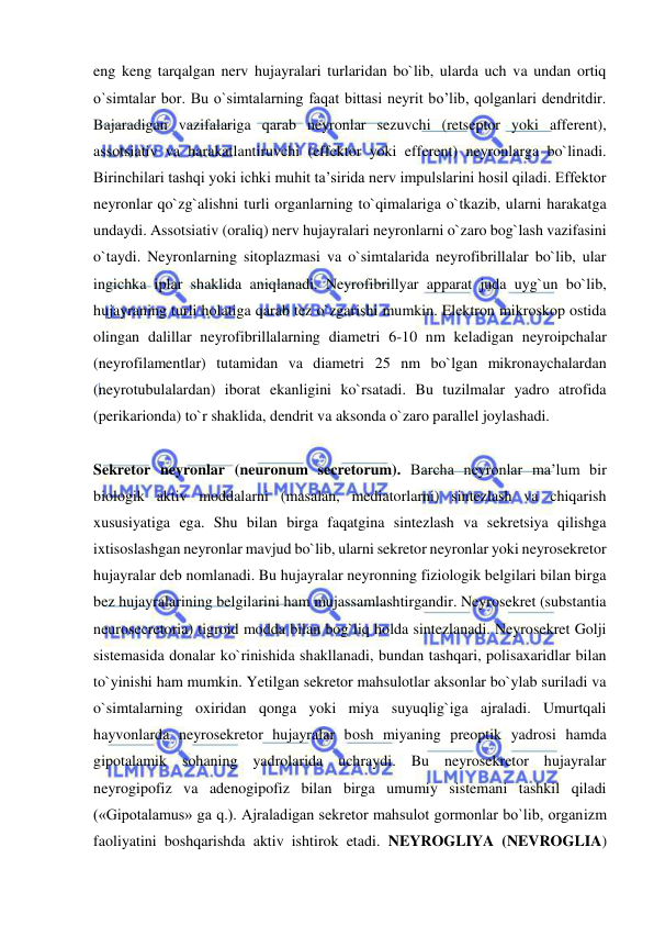  
 
eng keng tarqalgan nerv hujayralari turlaridan bo`lib, ularda uch va undan ortiq 
o`simtalar bor. Bu o`simtalarning faqat bittasi neyrit bo’lib, qolganlari dendritdir. 
Bajaradigan vazifalariga qarab neyronlar sezuvchi (retseptor yoki afferent), 
assotsiativ va harakatlantiruvchi (effektor yoki efferent) neyronlarga bo`linadi. 
Birinchilari tashqi yoki ichki muhit ta’sirida nerv impulslarini hosil qiladi. Effektor 
neyronlar qo`zg`alishni turli organlarning to`qimalariga o`tkazib, ularni harakatga 
undaydi. Assotsiativ (oraliq) nerv hujayralari neyronlarni o`zaro bog`lash vazifasini 
o`taydi. Neyronlarning sitoplazmasi va o`simtalarida neyrofibrillalar bo`lib, ular 
ingichka iplar shaklida aniqlanadi. Neyrofibrillyar apparat juda uyg`un bo`lib, 
hujayraning turli holatiga qarab tez o`zgarishi mumkin. Elektron mikroskop ostida 
olingan dalillar neyrofibrillalarning diametri 6-10 nm keladigan neyroipchalar 
(neyrofilamentlar) tutamidan va diametri 25 nm bo`lgan mikronaychalardan 
(neyrotubulalardan) iborat ekanligini ko`rsatadi. Bu tuzilmalar yadro atrofida 
(perikarionda) to`r shaklida, dendrit va aksonda o`zaro parallel joylashadi. 
 
Sekretor neyronlar (neuronum secretorum). Barcha neyronlar ma’lum bir 
biologik aktiv moddalarni (masalan, mediatorlarni) sintezlash va chiqarish 
xususiyatiga ega. Shu bilan birga faqatgina sintezlash va sekretsiya qilishga 
ixtisoslashgan neyronlar mavjud bo`lib, ularni sekretor neyronlar yoki neyrosekretor 
hujayralar deb nomlanadi. Bu hujayralar neyronning fiziologik belgilari bilan birga 
bez hujayralarining belgilarini ham mujassamlashtirgandir. Neyrosekret (substantia 
neurosecretoria) tigroid modda bilan bog`liq holda sintezlanadi. Neyrosekret Golji 
sistemasida donalar ko`rinishida shakllanadi, bundan tashqari, polisaxaridlar bilan 
to`yinishi ham mumkin. Yetilgan sekretor mahsulotlar aksonlar bo`ylab suriladi va 
o`simtalarning oxiridan qonga yoki miya suyuqlig`iga ajraladi. Umurtqali 
hayvonlarda neyrosekretor hujayralar bosh miyaning preoptik yadrosi hamda 
gipotalamik sohaning yadrolarida uchraydi. Bu neyrosekretor hujayralar 
neyrogipofiz va adenogipofiz bilan birga umumiy sistemani tashkil qiladi 
(«Gipotalamus» ga q.). Ajraladigan sekretor mahsulot gormonlar bo`lib, organizm 
faoliyatini boshqarishda aktiv ishtirok etadi. NEYROGLIYA (NEVROGLIA) 
