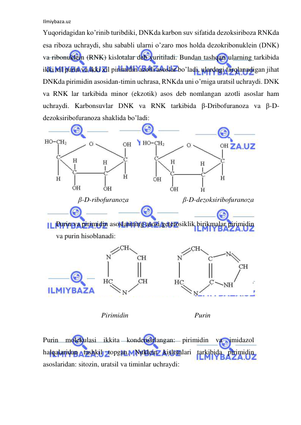 Ilmiybaza.uz 
 
Yuqoridagidan ko’rinib turibdiki, DNKda karbon suv sifatida dezoksiriboza RNKda 
esa riboza uchraydi, shu sababli ularni o’zaro mos holda dezokribonuklein (DNK) 
va ribonuklein (RNK) kislotalar deb yuritiladi. Bundan tashqari ularning tarkibida 
ikki xil purin va ikki xil pirimidin azotli asoslar bo’ladi, ulardagi farqlanadigan jihat 
DNKda pirimidin asosidan-timin uchrasa, RNKda uni o’rniga uratsil uchraydi. DNK 
va RNK lar tarkibida minor (ekzotik) asos deb nomlangan azotli asoslar ham 
uchraydi. Karbonsuvlar DNK va RNK tarkibida β-Dribofuranoza va β-D-
dezoksiribofuranoza shaklida bo’ladi:  
  
  
  
 
 β-D-ribofuranoza  
  
   β-D-dezoksiribofuranoza  
  
Purin va pirimidin asoslarining asosi geterosiklik birikmalar pirimidin 
va purin hisoblanadi:  
  
  
 
    Pirimidin  
    Purin  
  
Purin molekulasi ikkita kondensirlangan: pirimidin va imidazol 
halqalaridan tashkil topgan. Nuklein kislotalari tarkibida pirimidin 
asoslaridan: sitozin, uratsil va timinlar uchraydi:  
