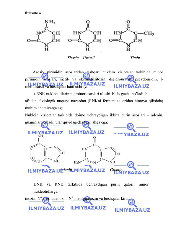 Ilmiybaza.uz 
 
  
 
  
Sitozin    Uratsil  
   Timin  
  
Asosiy pirimidin asoslaridan tashqari nuklein kislotalar tarkibida minor 
pirimidin asoslari, metil- va oksimetilsitozin, digidrouratsil, psevdouridin, I-
metiluratsil va boshqalar ham uchraydi.  
 t-RNK nukleotidlarining minor asoslari ulushi 10 % gacha bo’ladi, bu 
aftidan, fiziologik nuqtayi nazardan (RNKni ferment ta‘siridan himoya qilishda) 
muhim ahamiyatga ega.  
Nuklein kislotalar tarkibida doimo uchraydigan ikkita purin asoslari ‒ adenin, 
guaninlar bo’ladi, ular quyidagicha tuzilishga ega:  
  
  
 
  
  
 Adenin  
  
  
   Guanin  
  
DNK va RNK tarkibida uchraydigan purin qatorli minor 
nukleotidlarga:  
inozin, N6-metiladenozin, N2-metilguanozin va boshqalar kiradi:  
