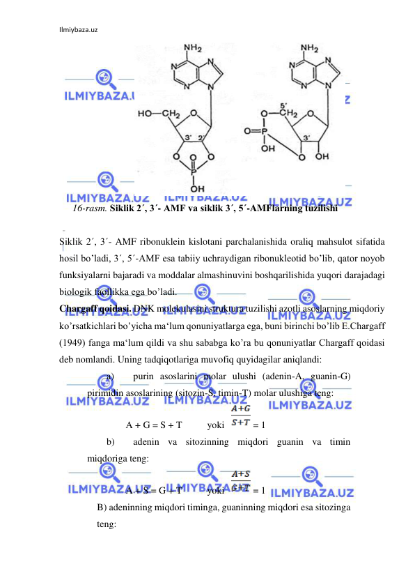 Ilmiybaza.uz 
 
  
16-rasm. Siklik 2´, 3´- AMF va siklik 3´, 5´-AMFlarning tuzilishi  
  
Siklik 2´, 3´- AMF ribonuklein kislotani parchalanishida oraliq mahsulot sifatida 
hosil bo’ladi, 3´, 5´-AMF esa tabiiy uchraydigan ribonukleotid bo’lib, qator noyob 
funksiyalarni bajaradi va moddalar almashinuvini boshqarilishida yuqori darajadagi 
biologik faollikka ega bo’ladi.  
Chargaff qoidasi. DNK molekulasini struktura tuzilishi azotli asoslarning miqdoriy 
ko’rsatkichlari bo’yicha ma‘lum qonuniyatlarga ega, buni birinchi bo’lib E.Chargaff 
(1949) fanga ma‘lum qildi va shu sababga ko’ra bu qonuniyatlar Chargaff qoidasi 
deb nomlandi. Uning tadqiqotlariga muvofiq quyidagilar aniqlandi:  
a) 
purin asoslarini molar ulushi (adenin-A, guanin-G) 
pirimidin asoslarining (sitozin-S, timin-T) molar ulushiga teng:  
A + G = S + T  
yoki  
 = 1  
b) 
adenin va sitozinning miqdori guanin va timin 
miqdoriga teng:  
A + S = G + T  
yoki  
 = 1  
B) adeninning miqdori timinga, guaninning miqdori esa sitozinga 
teng:  
