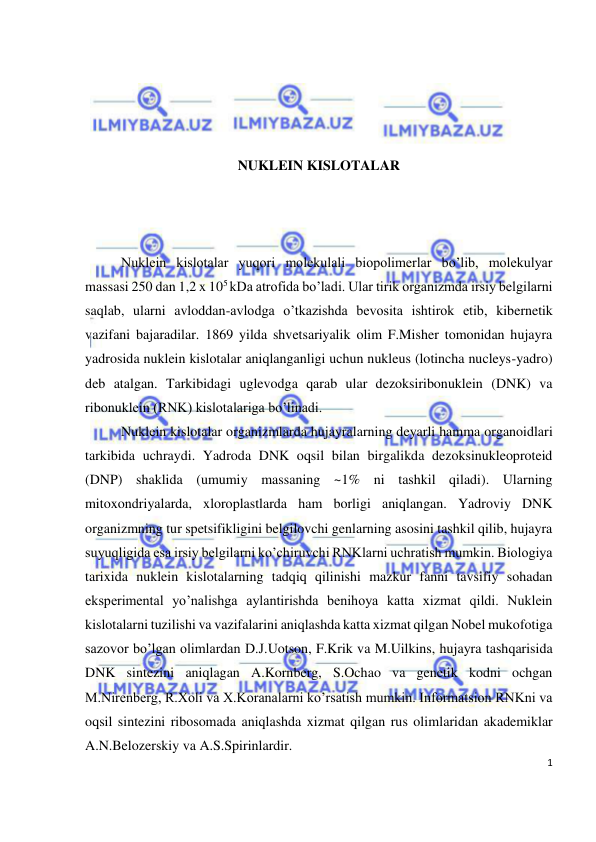  
1 
 
 
 
 
 
NUKLEIN KISLOTALAR 
 
 
 
Nuklein kislotalar yuqori molekulali biopolimerlar bo’lib, molekulyar 
massasi 250 dan 1,2 x 105 kDa atrofida bo’ladi. Ular tirik organizmda irsiy belgilarni 
saqlab, ularni avloddan-avlodga o’tkazishda bevosita ishtirok etib, kibernetik 
vazifani bajaradilar. 1869 yilda shvetsariyalik olim F.Misher tomonidan hujayra 
yadrosida nuklein kislotalar aniqlanganligi uchun nukleus (lotincha nucleys-yadro) 
deb atalgan. Tarkibidagi uglevodga qarab ular dezoksiribonuklein (DNK) va 
ribonuklein (RNK) kislotalariga bo’linadi. 
Nuklein kislotalar organizmlarda hujayralarning deyarli hamma organoidlari 
tarkibida uchraydi. Yadroda DNK oqsil bilan birgalikda dezoksinukleoproteid 
(DNP) shaklida (umumiy massaning ~1% ni tashkil qiladi). Ularning 
mitoxondriyalarda, xloroplastlarda ham borligi aniqlangan. Yadroviy DNK 
organizmning tur spetsifikligini belgilovchi genlarning asosini tashkil qilib, hujayra 
suyuqligida esa irsiy belgilarni ko’chiruvchi RNKlarni uchratish mumkin. Biologiya 
tarixida nuklein kislotalarning tadqiq qilinishi mazkur fanni tavsifiy sohadan 
eksperimental yo’nalishga aylantirishda benihoya katta xizmat qildi. Nuklein 
kislotalarni tuzilishi va vazifalarini aniqlashda katta xizmat qilgan Nobel mukofotiga 
sazovor bo’lgan olimlardan D.J.Uotson, F.Krik va M.Uilkins, hujayra tashqarisida 
DNK sintezini aniqlagan A.Kornberg, S.Ochao va genetik kodni ochgan 
M.Nirenberg, R.Xoli va X.Koranalarni ko’rsatish mumkin. Informatsion RNKni va 
oqsil sintezini ribosomada aniqlashda xizmat qilgan rus olimlaridan akademiklar 
A.N.Belozerskiy va A.S.Spirinlardir. 
