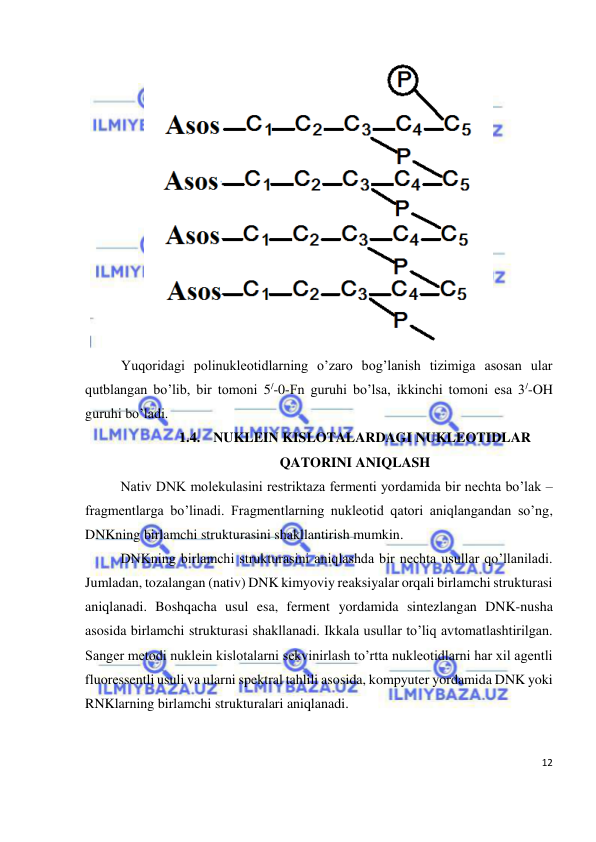  
12 
 
 
Yuqoridagi polinukleotidlarning o’zaro bog’lanish tizimiga asosan ular 
qutblangan bo’lib, bir tomoni 5/-0-Fn guruhi bo’lsa, ikkinchi tomoni esa 3/-OH 
guruhi bo’ladi. 
1.4. NUKLEIN KISLOTALARDAGI NUKLEOTIDLAR 
QATORINI ANIQLASH 
 
Nativ DNK molekulasini restriktaza fermenti yordamida bir nechta bo’lak – 
fragmentlarga bo’linadi. Fragmentlarning nukleotid qatori aniqlangandan so’ng, 
DNKning birlamchi strukturasini shakllantirish mumkin. 
 
DNKning birlamchi strukturasini aniqlashda bir nechta usullar qo’llaniladi. 
Jumladan, tozalangan (nativ) DNK kimyoviy reaksiyalar orqali birlamchi strukturasi 
aniqlanadi. Boshqacha usul esa, ferment yordamida sintezlangan DNK-nusha 
asosida birlamchi strukturasi shakllanadi. Ikkala usullar to’liq avtomatlashtirilgan. 
Sanger metodi nuklein kislotalarni sekvinirlash to’rtta nukleotidlarni har xil agentli 
fluoressentli usuli va ularni spektral tahlili asosida, kompyuter yordamida DNK yoki 
RNKlarning birlamchi strukturalari aniqlanadi.  
