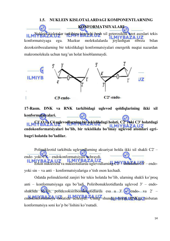  
14 
 
1.5. NUKLEIN KISLOTALARDAGI KOMPONENTLARNING 
KONFORMATSIYALARI 
 
Nuklein kislotalar tarkibiga kiruvchi besh xil geterosiklik azot asoslari tekis 
konformatsiyaga 
ega. 
Mazkur 
molekulalarda 
joylashgan 
riboza 
bilan 
dezoksiribozalarning bir tekislikdagi konformatsiyalari energetik nuqtai nazardan 
makromolekula uchun turg’un holat hisoblanmaydi.  
 
17-Rasm. DNK va RNK tarkibidagi uglevod qoldiqlarining ikki xil 
konformatsiyalari. 
 
C1' O va C4 uglevodlarning bir tekislikdagi holati, C2' yoki C3' holatdagi 
endokonformatsiyalari bo’lib, bir tekislikda bo’lmay uglevod atomlari egri-
bugri holatda bo’ladilar. 
 
Polinukleotid tarkibida uglevodlarning aksariyat holda ikki xil shakli C2' – 
endo- yoki C3' – endokonformatsiyasi uchraydi. 
Erkin nukleozid va nukleotidlarda uglevodlarning C2' – shaklidan C3' – endo- 
yoki sin – va anti – konformatsiyalariga o’tish oson kechadi.  
Odatda polinukleotid zanjiri bir tekis holatda bo’lib, ularning shakli ko’proq 
anti – konformatsiyaga ega bo’ladi. Poliribonukleotidlarda uglevod 3' – endo- 
shaklida bo’lib, polidezoksiribonukleotidlarda esa u 3' – endo- va 2' – 
endokonformatsiya holatida uchraydi. Uning shunday holati RNKga nisbatan 
konformatsiya soni ko’p bo’lishini ko’rsatadi. 
