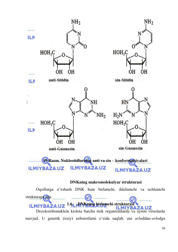 
16 
 
 
19-Rasm. Nukleotidlarning anti va sin – konformatsiyalari 
 
 
DNKning makromolekulyar strukturasi 
Oqsillarga o’xshash DNK ham birlamchi, ikkilamchi va uchlamchi 
strukturaga ega. 
1.6. DNKning birlamchi strukturasi 
Dezoksiribonuklein kislota barcha tirik organizmlarda va ayrim viruslarda 
mavjud. U genetik (irsiy) axborotlarni o’zida saqlab, uni avloddan-avlodga 
