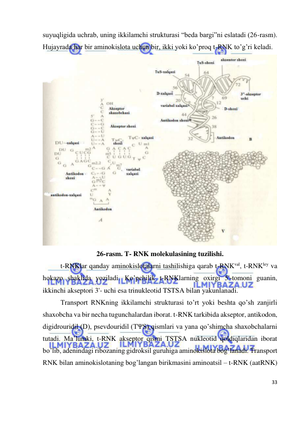  
33 
 
suyuqligida uchrab, uning ikkilamchi strukturasi “beda bargi”ni eslatadi (26-rasm). 
Hujayrada har bir aminokislota uchun bir, ikki yoki ko’proq t-RNK to’g’ri keladi. 
 
26-rasm. T- RNK molekulasining tuzilishi. 
 
t-RNKlar qanday aminokislotalarni tashilishiga qarab t-RNKval, t-RNKley va 
hokazo shaklida yoziladi. Ko’pchilik t-RNKlarning oxirgi 5'-tomoni guanin, 
ikkinchi akseptori 3'- uchi esa trinukleotid TSTSA bilan yakunlanadi. 
 
Transport RNKning ikkilamchi strukturasi to’rt yoki beshta qo’sh zanjirli 
shaxobcha va bir necha tugunchalardan iborat. t-RNK tarkibida akseptor, antikodon, 
digidrouridil (D), psevdouridil (TΨS) qismlari va yana qo’shimcha shaxobchalarni 
tutadi. Ma’lumki, t-RNK akseptor qismi TSTSA nukleotid qoldiqlaridan iborat 
bo’lib, adenindagi ribozaning gidroksil guruhiga aminokislota bog’lanadi. Transport 
RNK bilan aminokislotaning bog’langan birikmasini aminoatsil – t-RNK (aatRNK) 
