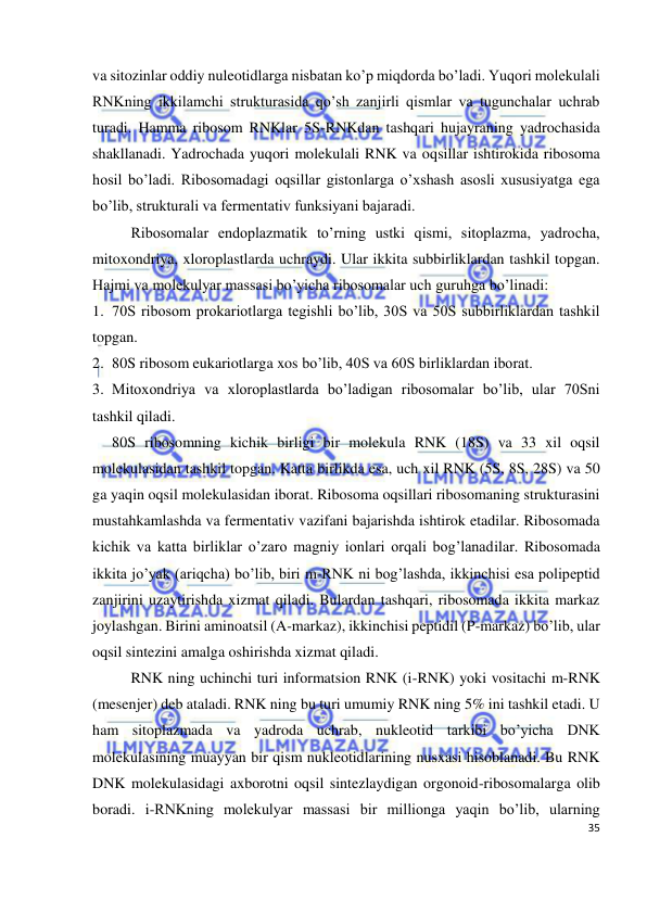  
35 
 
va sitozinlar oddiy nuleotidlarga nisbatan ko’p miqdorda bo’ladi. Yuqori molekulali 
RNKning ikkilamchi strukturasida qo’sh zanjirli qismlar va tugunchalar uchrab 
turadi. Hamma ribosom RNKlar 5S-RNKdan tashqari hujayraning yadrochasida 
shakllanadi. Yadrochada yuqori molekulali RNK va oqsillar ishtirokida ribosoma 
hosil bo’ladi. Ribosomadagi oqsillar gistonlarga o’xshash asosli xususiyatga ega 
bo’lib, strukturali va fermentativ funksiyani bajaradi. 
 
Ribosomalar endoplazmatik to’rning ustki qismi, sitoplazma, yadrocha, 
mitoxondriya, xloroplastlarda uchraydi. Ular ikkita subbirliklardan tashkil topgan. 
Hajmi va molekulyar massasi bo’yicha ribosomalar uch guruhga bo’linadi:  
1. 70S ribosom prokariotlarga tegishli bo’lib, 30S va 50S subbirliklardan tashkil 
topgan. 
2. 80S ribosom eukariotlarga xos bo’lib, 40S va 60S birliklardan iborat. 
3. Mitoxondriya va xloroplastlarda bo’ladigan ribosomalar bo’lib, ular 70Sni 
tashkil qiladi. 
 
80S ribosomning kichik birligi bir molekula RNK (18S) va 33 xil oqsil 
molekulasidan tashkil topgan. Katta birlikda esa, uch xil RNK (5S, 8S, 28S) va 50 
ga yaqin oqsil molekulasidan iborat. Ribosoma oqsillari ribosomaning strukturasini 
mustahkamlashda va fermentativ vazifani bajarishda ishtirok etadilar. Ribosomada 
kichik va katta birliklar o’zaro magniy ionlari orqali bog’lanadilar. Ribosomada 
ikkita jo’yak (ariqcha) bo’lib, biri m-RNK ni bog’lashda, ikkinchisi esa polipeptid 
zanjirini uzaytirishda xizmat qiladi. Bulardan tashqari, ribosomada ikkita markaz 
joylashgan. Birini aminoatsil (A-markaz), ikkinchisi peptidil (P-markaz) bo’lib, ular 
oqsil sintezini amalga oshirishda xizmat qiladi. 
RNK ning uchinchi turi informatsion RNK (i-RNK) yoki vositachi m-RNK 
(mesenjer) deb ataladi. RNK ning bu turi umumiy RNK ning 5% ini tashkil etadi. U 
ham sitoplazmada va yadroda uchrab, nukleotid tarkibi bo’yicha DNK 
molekulasining muayyan bir qism nukleotidlarining nusxasi hisoblanadi. Bu RNK 
DNK molekulasidagi axborotni oqsil sintezlaydigan orgonoid-ribosomalarga olib 
boradi. i-RNKning molekulyar massasi bir millionga yaqin bo’lib, ularning 
