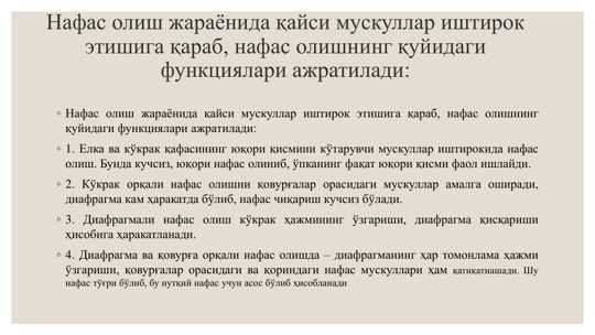 Нафас олиш жараёнида қайси мускуллар иштирок 
этишига қараб, нафас олишнинг қуйидаги 
функциялари ажратилади: 
◦ Нафас олиш жараёнида қайси мускуллар иштирок этишига қараб, нафас олишнинг
қуйидаги функциялари ажратилади:
◦ 1. Елка ва кўкрак қафасининг юқори қисмини кўтарувчи мускуллар иштирокида нафас
олиш. Бунда кучсиз, юқори нафас олиниб, ўпканинг фақат юқори қисми фаол ишлайди.
◦ 2. Кўкрак орқали нафас олишни қовурғалар орасидаги мускуллар амалга оширади,
диафрагма кам ҳаракатда бўлиб, нафас чиқариш кучсиз бўлади.
◦ 3. Диафрагмали нафас олиш кўкрак ҳажмининг ўзгариши, диафрагма қисқариши
ҳисобига ҳаракатланади.
◦ 4. Диафрагма ва қовурға орқали нафас олишда – диафрагманинг ҳар томонлама ҳажми
ўзгариши, қовурғалар орасидаги ва қориндаги нафас мускуллари ҳам қатнқатнашади. Шу
нафас тўғри бўлиб, бу нутқий нафас учун асос бўлиб ҳисобланади
