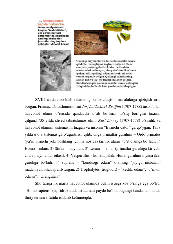 2 
 
 
XVIII asrdan boshlab odamning kelib chiqishi masalalarga qiziqish orta 
borgan. Fransuz tabiatshunos olimi Jorj Lui Leklerk Byuffon (1707-1788) inson bilan 
hayvonot olami o’rtasida qandaydir o’tib bo’lmas to’siq borligini taxmin 
qilgan.1735 yilda shved tabiatshunos olimi Karl Linney (1707-1778) o’simlik va 
hayvonot olamini sistemasini tuzgan va insonni “Birinchi qator” ga qo’ygan. 1758 
yilda u o’z sistemasiga o’zgartirish qilib, unga primatlar guruhini – Ordo primates 
(ya‘ni birinchi yoki boshlang’ich ma‘nosida) kiritib, ularni  to’rt qismga bo’ladi: 1) 
Homo – odam; 2) Simia – maymun; 3) Lemur – lemur (primatlar guruhiga kirivchi 
chala maymunlar oilasi); 4) Vespurtilio – ko’rshapalak. Homo guruhini u yana ikki 
guruhga bo’ladi: 1) sapiens – “kunduzgi odam” o’zining “joyiga nisbatan” 
madaniyati bilan ajralib turgan. 2) Troglodytes (troglodit) – “kechki odam”, “o’rmon 
odami”, “Orangutan”. 
Shu tariqa ilk marta hayvonot olamida odam o’ziga xos o’ringa ega bo’lib, 
“Homo sapiens” (aql-idrokli odam) atamasi paydo bo’lib, bugungi kunda ham fanda 
ilmiy termin sifatida ishlatib kelinmoqda.  
 
