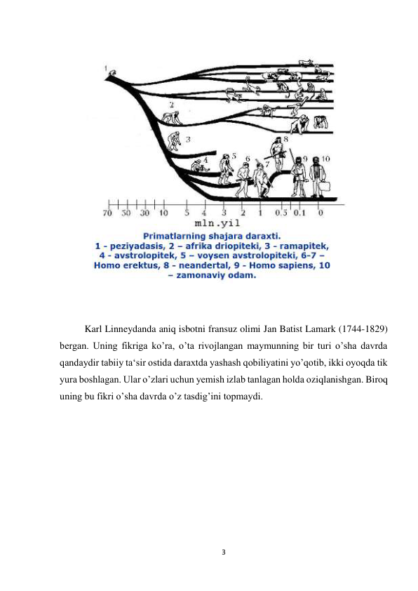 3 
 
 
 
 
Karl Linneydanda aniq isbotni fransuz olimi Jan Batist Lamark (1744-1829) 
bergan. Uning fikriga ko’ra, o’ta rivojlangan maymunning bir turi o’sha davrda 
qandaydir tabiiy ta‘sir ostida daraxtda yashash qobiliyatini yo’qotib, ikki oyoqda tik 
yura boshlagan. Ular o’zlari uchun yemish izlab tanlagan holda oziqlanishgan. Biroq 
uning bu fikri o’sha davrda o’z tasdig’ini topmaydi.  
