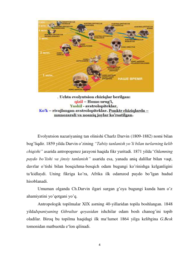 4 
 
 
 
Evolyutsion nazariyaning tan olinishi Charlz Darvin (1809-1882) nomi bilan 
bog’liqdir. 1859 yilda Darvin o’zining “Tabiiy tanlanish yo’li bilan turlarning kelib 
chiqishi” asarida antropogenez jarayoni haqida fikr yuritadi. 1871 yilda“Odamning 
paydo bo’lishi va jinsiy tanlanish” asarida esa, yanada aniq dalillar bilan vaqt, 
davrlar o’tishi bilan bosqichma-bosqich odam bugungi ko’rinishga kelganligini 
ta‘kidlaydi. Uning fikriga ko’ra, Afrika ilk odamzod paydo bo’lgan hudud 
hisoblanadi.  
Umuman olganda Ch.Darvin ilgari surgan g’oya bugungi kunda ham o’z 
ahamiyatini yo’qotgani yo’q. 
Antropologik topilmalar XIX asrning 40-yillaridan topila boshlangan. 1848 
yildaIspaniyaning Gibraltar qoyasidan ishchilar odam bosh chanog’ini topib 
oladilar. Biroq bu topilma haqidagi ilk ma‘lumot 1864 yilga kelibgina G.Besk 
tomonidan matbuotda e‘lon qilinadi.  
