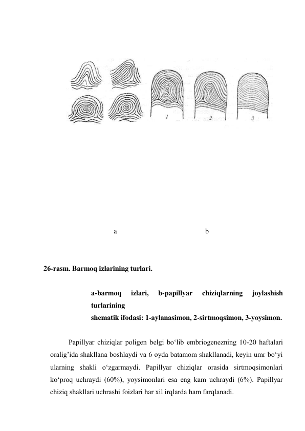  
 
 
 
 
 
 
 
 
 
 
 
 
 
 
 
a 
b 
 
 
26-rasm. Barmoq izlarining turlari. 
 
a-barmoq 
izlari, 
b-papillyar 
chiziqlarning 
joylashish 
turlarining 
shematik ifodasi: 1-aylanasimon, 2-sirtmoqsimon, 3-yoysimon. 
 
Papillyar chiziqlar poligen belgi bo‘lib embriogenezning 10-20 haftalari 
oralig’ida shakllana boshlaydi va 6 oyda batamom shakllanadi, keyin umr bo‘yi 
ularning shakli o‘zgarmaydi. Papillyar chiziqlar orasida sirtmoqsimonlari 
ko‘proq uchraydi (60%), yoysimonlari esa eng kam uchraydi (6%). Papillyar 
chiziq shakllari uchrashi foizlari har xil irqlarda ham farqlanadi. 
