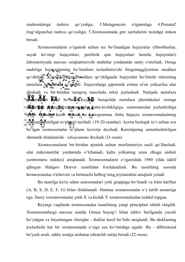 sindromlariga 
tashxis 
qo‘yishga; 
3.Mutagenezni 
o'rganishga 
4.Prenatal' 
(tug‘ulguncha) tashxis qo‘yishga; 5.Xromosomada gen xaritalarini tuzishga imkon 
beradi. 
Xromosomalarni o‘rganish uchun tez bo‘linadigan hujayralar (fibroblastlar, 
suyak 
ko‘migi 
hujayralari, 
periferik 
qon 
hujayralari 
homila 
hujayralari) 
laboratoriyada maxsus oziqlantiruvchi muhitlar yordamida suniy o'stiriladi. Ozuqa 
muhitiga hujayralarning bo‘linishini tezlashtiruvchi fitogemagglyutinin moddasi 
qo‘shiladi. Keyin kolxitsin moddasi qo‘shilganda hujayralar bo‘linishi mitozning 
metafaza bosqichida to‘xtaydi. Xujayralarga gipotonik eritma ta'sir yetkazilsa ular 
shishadi va bir-biridan uzoqroq masofada erkin joylashadi. Natijada metafaza 
plastinkalari hosil bo‘ladi. Keyingi bosqichda metafaza plastinkalari rasmga 
tushiriladi. So‘ngra xromosomalar katta-kichikligiga, sentromeralar joylashishiga 
qarab rasmdan kesib olinadi va kariogramma (bitta hujayra xromosomalarining 
sistemalashtirilgan to‘plami) tuziladi. (19-20-rasmlar). Ayrim biologik to‘r uchun xos 
bo‘lgan xromosomalar to‘plami kariotip deyiladi. Kariotipning umumlashtirilgan 
shematik ifodalanishi - idiogramma deyiladi (21-rasm). 
Xromosomalarni bir-biridan ajratish uchun morfometriya usuli qo‘llaniladi, 
ular mikrometrlar yordamida o‘lchanadi, kalta yelkaning uzun elkaga nisbati 
(sentromera indeksi) aniqlanadi. Xromosomalarni o‘rganishda 1960 yilda taklif 
qilingan Halqaro Denver 
tasnifidan foydalaniladi. Bu tasnifning asosida 
hromosomalar o'lchovini va birlamchi belbog‘ning joylanishini aniqlash yotadi. 
Bu tasnifga ko'ra odam autosomalari yetti gruppaga bo‘linadi va lotin harflari 
(A, B, S, D, E, F, G) bilan ifodalanadi. Hamma xromosomalar o‘z tartib nomeriga 
ega. Jinsiy xoromosomalar yirik X va kichik Y xromosomalardan tashkil topgan. 
Keyingi vaqtlarda xromosomalar tasnifining yangi principlari ishlab chiqildi. 
Xromosomalarga maxsus usulda Gimza boyog‘i bilan ishlov berilganda yaxshi 
bo‘yalgan va buyalmagan chiziqlar - disklar hosil bo‘lishi aniqlandi. Bu disklarning 
joylashishi har bir xromosomada o‘ziga xos ko‘rinishga egadir. Bu - differensial 
bo'yash usuli, oddiy usulga nisbatan ishonchli natija beradi (22-rasm). 
 

