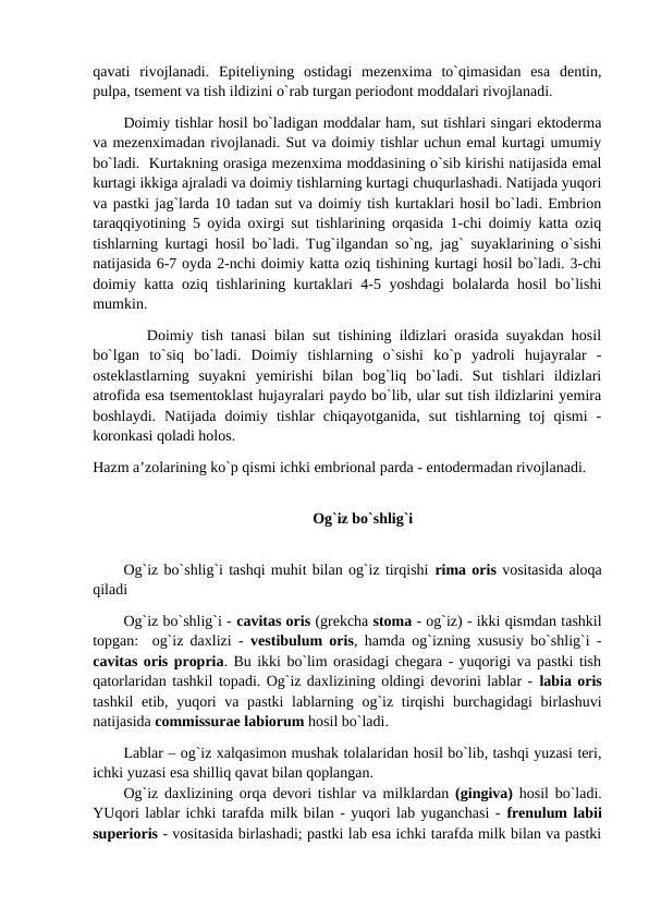 qavati  rivojlanadi.  Epiteliyning  ostidagi  mezenxima  to`qimasidan  esa  dentin,
pulpa, tsement va tish ildizini o`rab turgan periodont moddalari rivojlanadi. 
Doimiy tishlar hosil bo`ladigan moddalar ham, sut tishlari singari ektoderma
va mezenximadan rivojlanadi. Sut va doimiy tishlar uchun emal kurtagi umumiy
bo`ladi.  Kurtakning orasiga mezenxima moddasining o`sib kirishi natijasida emal
kurtagi ikkiga ajraladi va doimiy tishlarning kurtagi chuqurlashadi. Natijada yuqori
va pastki jag`larda 10 tadan sut va doimiy tish kurtaklari hosil bo`ladi. Embrion
taraqqiyotining 5 oyida oxirgi sut tishlarining orqasida 1-chi doimiy katta oziq
tishlarning kurtagi hosil bo`ladi. Tug`ilgandan so`ng, jag` suyaklarining o`sishi
natijasida 6-7 oyda 2-nchi doimiy katta oziq tishining kurtagi hosil bo`ladi. 3-chi
doimiy katta oziq tishlarining kurtaklari 4-5 yoshdagi  bolalarda hosil bo`lishi
mumkin. 
   Doimiy tish tanasi bilan sut tishining ildizlari orasida suyakdan hosil
bo`lgan  to`siq  bo`ladi.  Doimiy  tishlarning  o`sishi  ko`p  yadroli  hujayralar  -
osteklastlarning  suyakni  yemirishi  bilan  bog`liq  bo`ladi.  Sut  tishlari  ildizlari
atrofida esa tsementoklast hujayralari paydo bo`lib, ular sut tish ildizlarini yemira
boshlaydi.  Natijada  doimiy  tishlar  chiqayotganida,  sut  tishlarning  toj  qismi  -
koronkasi qoladi holos. 
Hazm a’zolarining ko`p qismi ichki embrional parda - entodermadan rivojlanadi.
Og`iz bo`shlig`i
Og`iz bo`shlig`i tashqi muhit bilan og`iz tirqishi rima oris vositasida aloqa
qiladi
Og`iz bo`shlig`i - cavitas oris (grekcha stoma - og`iz) - ikki qismdan tashkil
topgan:  og`iz daxlizi -  vestibulum oris, hamda og`izning xususiy bo`shlig`i -
cavitas oris propria. Bu ikki bo`lim orasidagi chegara - yuqorigi va pastki tish
qatorlaridan tashkil topadi. Og`iz daxlizining oldingi devorini lablar - labia oris
tashkil  etib, yuqori va pastki  lablarning og`iz tirqishi  burchagidagi  birlashuvi
natijasida commissurae labiorum hosil bo`ladi. 
Lablar – og`iz xalqasimon mushak tolalaridan hosil bo`lib, tashqi yuzasi teri,
ichki yuzasi esa shilliq qavat bilan qoplangan. 
Og`iz daxlizining orqa devori tishlar va milklardan (gingiva)  hosil bo`ladi.
YUqori lablar ichki tarafda milk bilan - yuqori lab yuganchasi - frenulum labii
superioris - vositasida birlashadi; pastki lab esa ichki tarafda milk bilan va pastki
