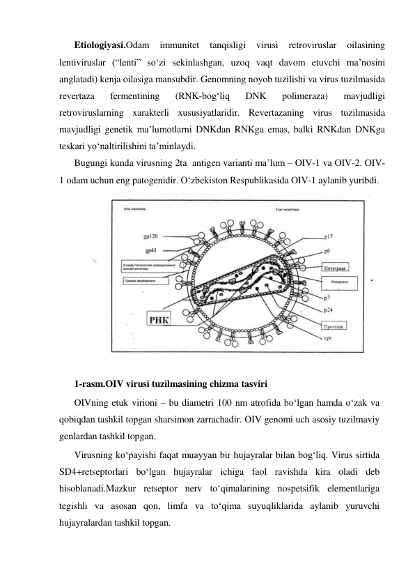 Etiologiyasi.Odam 
immunitet 
tanqisligi 
virusi 
retroviruslar 
oilasining 
lentiviruslar (“lenti” so‘zi sekinlashgan, uzoq vaqt davom etuvchi ma’nosini 
anglatadi) kenja oilasiga mansubdir. Genomning noyob tuzilishi va virus tuzilmasida 
revertaza 
fermentining 
(RNK-bog‘liq 
DNK 
polimeraza) 
mavjudligi 
retroviruslarning xarakterli xususiyatlaridir. Revertazaning virus tuzilmasida 
mavjudligi genetik ma’lumotlarni DNKdan RNKga emas, balki RNKdan DNKga 
teskari yo‘naltirilishini ta’minlaydi.  
Bugungi kunda virusning 2ta  antigen varianti ma’lum – OIV-1 va OIV-2. OIV-
1 odam uchun eng patogenidir. O‘zbekiston Respublikasida OIV-1 aylanib yuribdi. 
 
1-rasm.OIV virusi tuzilmasining chizma tasviri 
OIVning etuk virioni – bu diametri 100 nm atrofida bo‘lgan hamda o‘zak va 
qobiqdan tashkil topgan sharsimon zarrachadir. OIV genomi uch asosiy tuzilmaviy 
genlardan tashkil topgan.  
Virusning ko‘payishi faqat muayyan bir hujayralar bilan bog‘liq. Virus sirtida 
SD4+retseptorlari bo‘lgan hujayralar ichiga faol ravishda kira oladi deb 
hisoblanadi.Mazkur retseptor nerv to‘qimalarining nospetsifik elementlariga 
tegishli va asosan qon, limfa va to‘qima suyuqliklarida aylanib yuruvchi 
hujayralardan tashkil topgan. 
