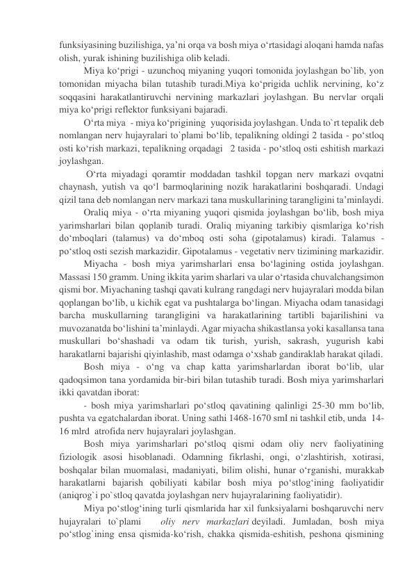 funksiyasining buzilishiga, ya’ni orqa va bosh miya o‘rtasidagi aloqani hamda nafas 
olish, yurak ishining buzilishiga olib keladi. 
Miya ko‘prigi - uzunchoq miyaning yuqori tomonida joylashgan bo`lib, yon 
tomonidan miyacha bilan tutashib turadi.Miya ko‘prigida uchlik nervining, ko‘z 
soqqasini harakatlantiruvchi nervining markazlari joylashgan. Bu nervlar orqali 
miya ko‘prigi reflektor funksiyani bajaradi. 
O‘rta miya  - miya ko‘prigining  yuqorisida joylashgan. Unda to`rt tepalik deb 
nomlangan nerv hujayralari to`plami bo‘lib, tepalikning oldingi 2 tasida - po‘stloq 
osti ko‘rish markazi, tepalikning orqadagi   2 tasida - po‘stloq osti eshitish markazi 
joylashgan. 
 O‘rta miyadagi qoramtir moddadan tashkil topgan nerv markazi ovqatni 
chaynash, yutish va qo‘l barmoqlarining nozik harakatlarini boshqaradi. Undagi 
qizil tana deb nomlangan nerv markazi tana muskullarining tarangligini ta’minlaydi. 
Oraliq miya - o‘rta miyaning yuqori qismida joylashgan bo‘lib, bosh miya 
yarimsharlari bilan qoplanib turadi. Oraliq miyaning tarkibiy qismlariga ko‘rish 
do‘mboqlari (talamus) va do‘mboq osti soha (gipotalamus) kiradi. Talamus - 
po‘stloq osti sezish markazidir. Gipotalamus - vegetativ nerv tizimining markazidir. 
Miyacha - bosh miya yarimsharlari ensa bo‘lagining ostida joylashgan. 
Massasi 150 gramm. Uning ikkita yarim sharlari va ular o‘rtasida chuvalchangsimon 
qismi bor. Miyachaning tashqi qavati kulrang rangdagi nerv hujayralari modda bilan 
qoplangan bo‘lib, u kichik egat va pushtalarga bo‘lingan. Miyacha odam tanasidagi 
barcha muskullarning tarangligini va harakatlarining tartibli bajarilishini va 
muvozanatda bo‘lishini ta’minlaydi. Agar miyacha shikastlansa yoki kasallansa tana 
muskullari bo‘shashadi va odam tik turish, yurish, sakrash, yugurish kabi 
harakatlarni bajarishi qiyinlashib, mast odamga o‘xshab gandiraklab harakat qiladi. 
Bosh miya - o‘ng va chap katta yarimsharlardan iborat bo‘lib, ular 
qadoqsimon tana yordamida bir-biri bilan tutashib turadi. Bosh miya yarimsharlari 
ikki qavatdan iborat: 
- bosh miya yarimsharlari po‘stloq qavatining qalinligi 25-30 mm bo‘lib, 
pushta va egatchalardan iborat. Uning sathi 1468-1670 smІ ni tashkil etib, unda  14-
16 mlrd  atrofida nerv hujayralari joylashgan. 
Bosh miya yarimsharlari po‘stloq qismi odam oliy nerv faoliyatining 
fiziologik asosi hisoblanadi. Odamning fikrlashi, ongi, o‘zlashtirish, xotirasi, 
boshqalar bilan muomalasi, madaniyati, bilim olishi, hunar o‘rganishi, murakkab 
harakatlarni bajarish qobiliyati kabilar bosh miya po‘stlog‘ining faoliyatidir 
(aniqrog`i po`stloq qavatda joylashgan nerv hujayralarining faoliyatidir). 
Miya po‘stlog‘ining turli qismlarida har xil funksiyalarni boshqaruvchi nerv 
hujayralari to`plami        oliy nerv markazlari deyiladi. Jumladan, bosh miya 
po‘stlog`ining ensa qismida-ko‘rish, chakka qismida-eshitish, peshona qismining 
